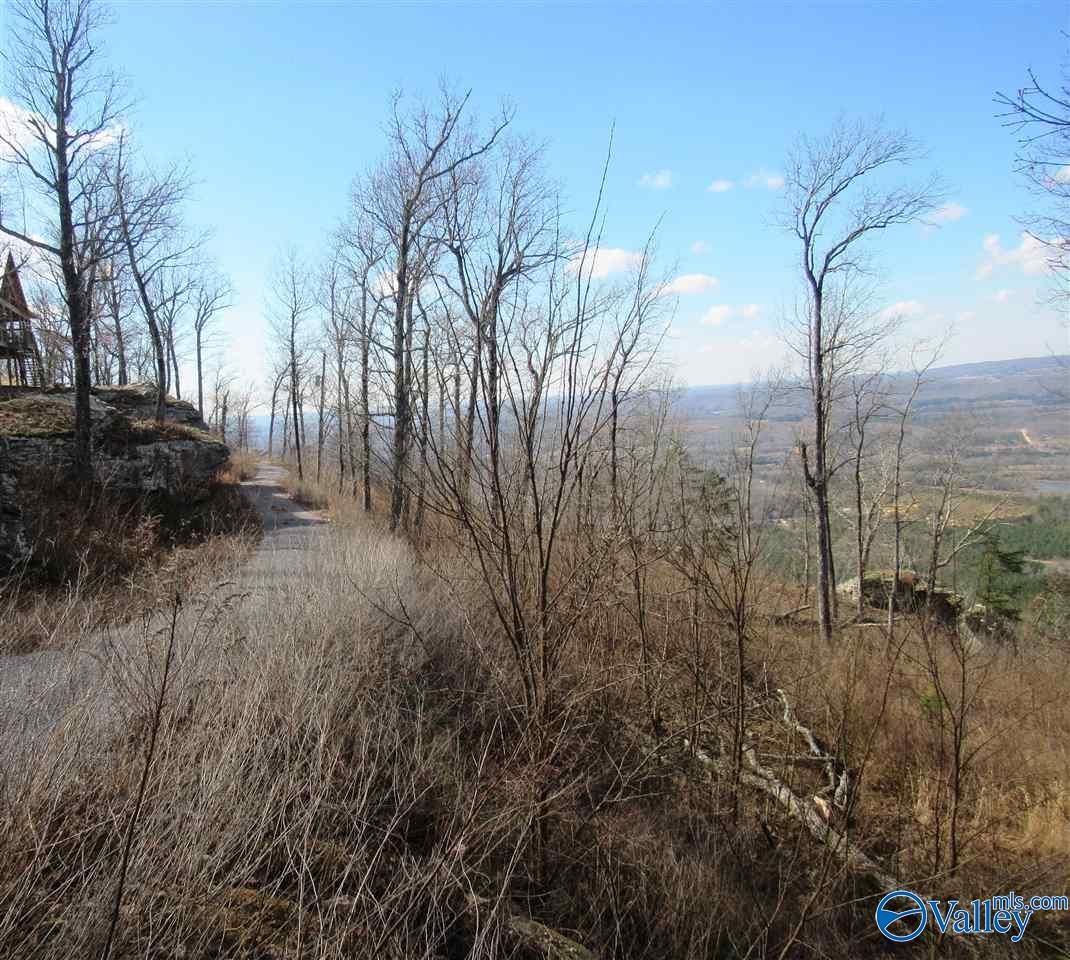 .98 Acres County Road 89