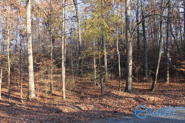 Lot 11 County Road 596