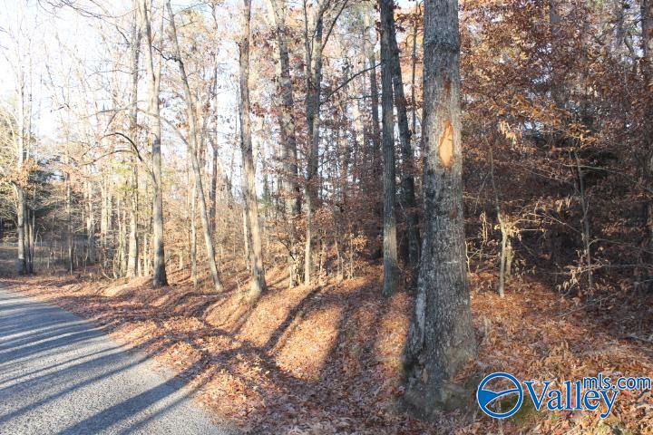 Lot 11 County Road 596