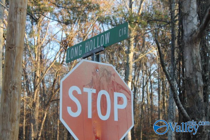 Lot 11 County Road 596
