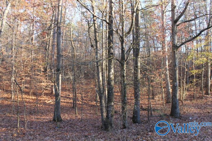 Lot 11 County Road 596
