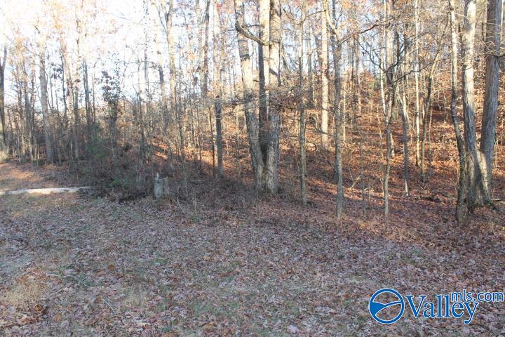Lot 11 County Road 596