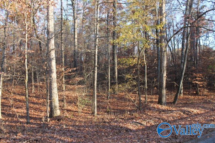 Lot 11 County Road 596