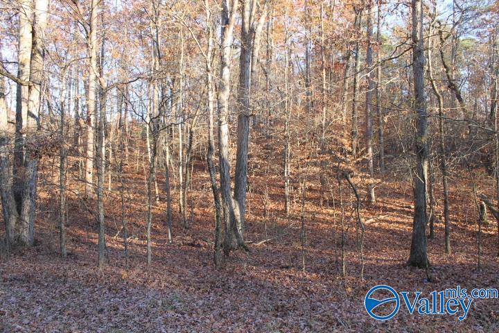 Lot 11 County Road 596