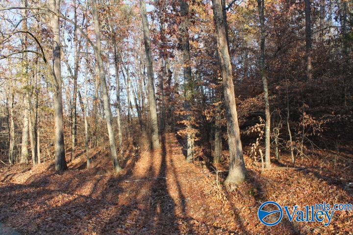Lot 11 County Road 596