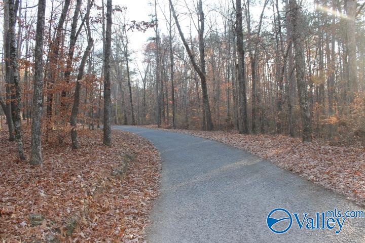 Lot 11 County Road 596