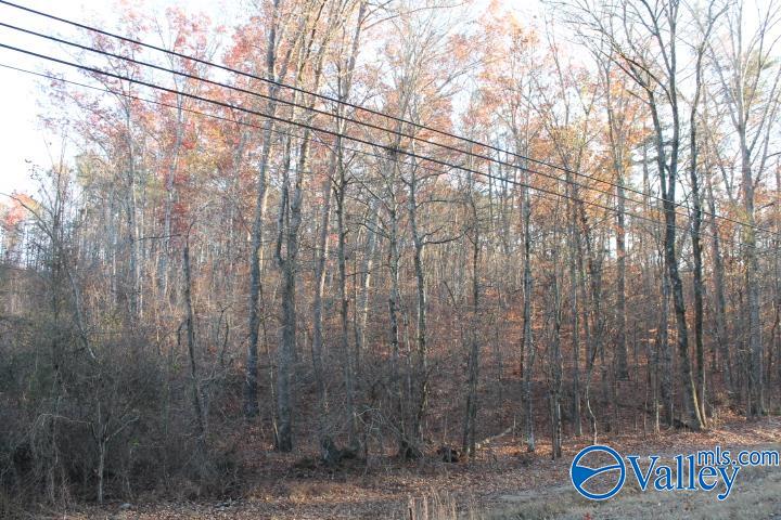 Lot 11 County Road 596