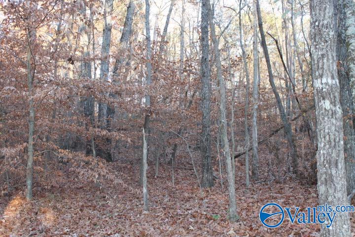 Lot 11 County Road 596