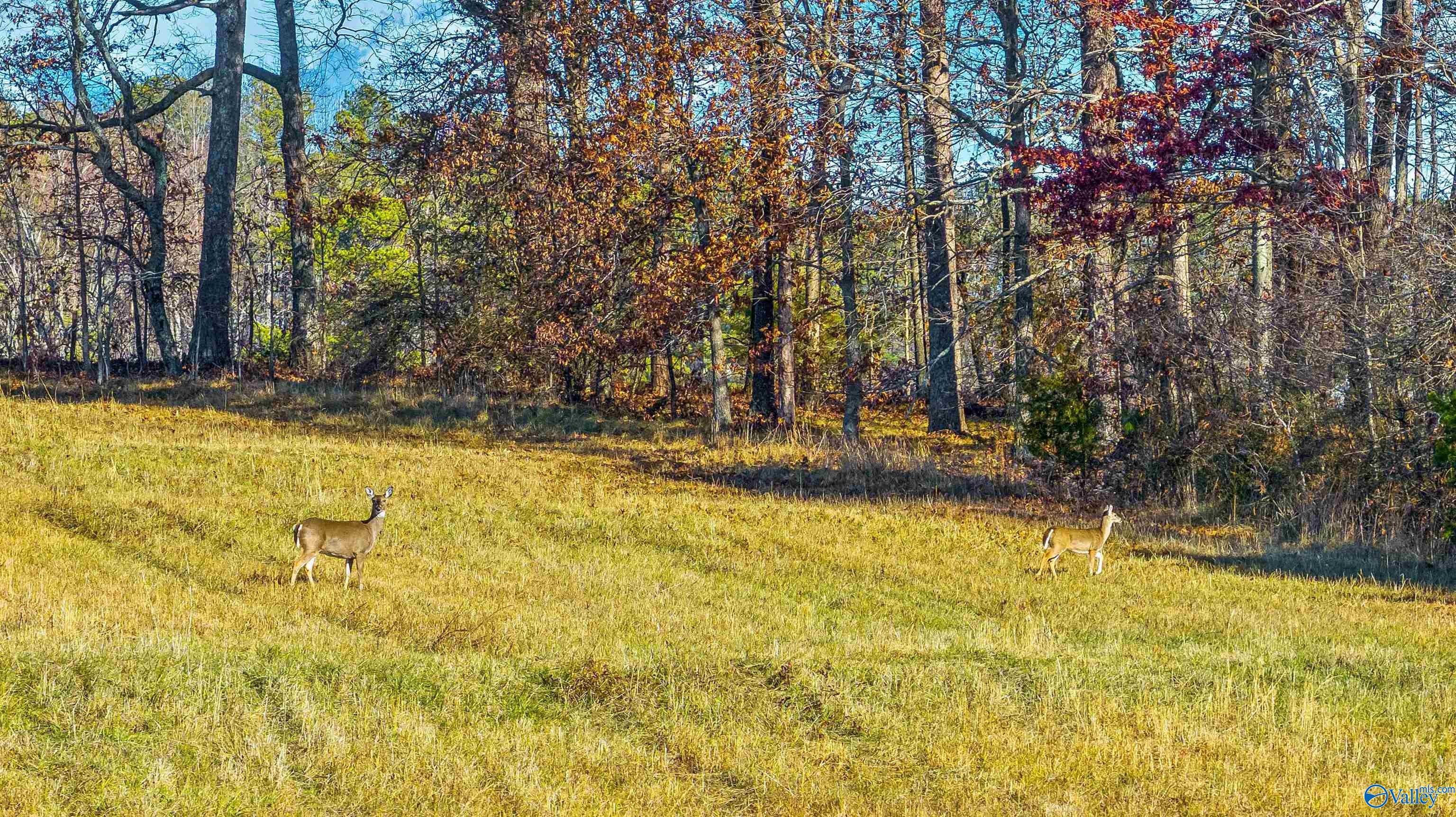 4312 Pumpkin Center Road NE