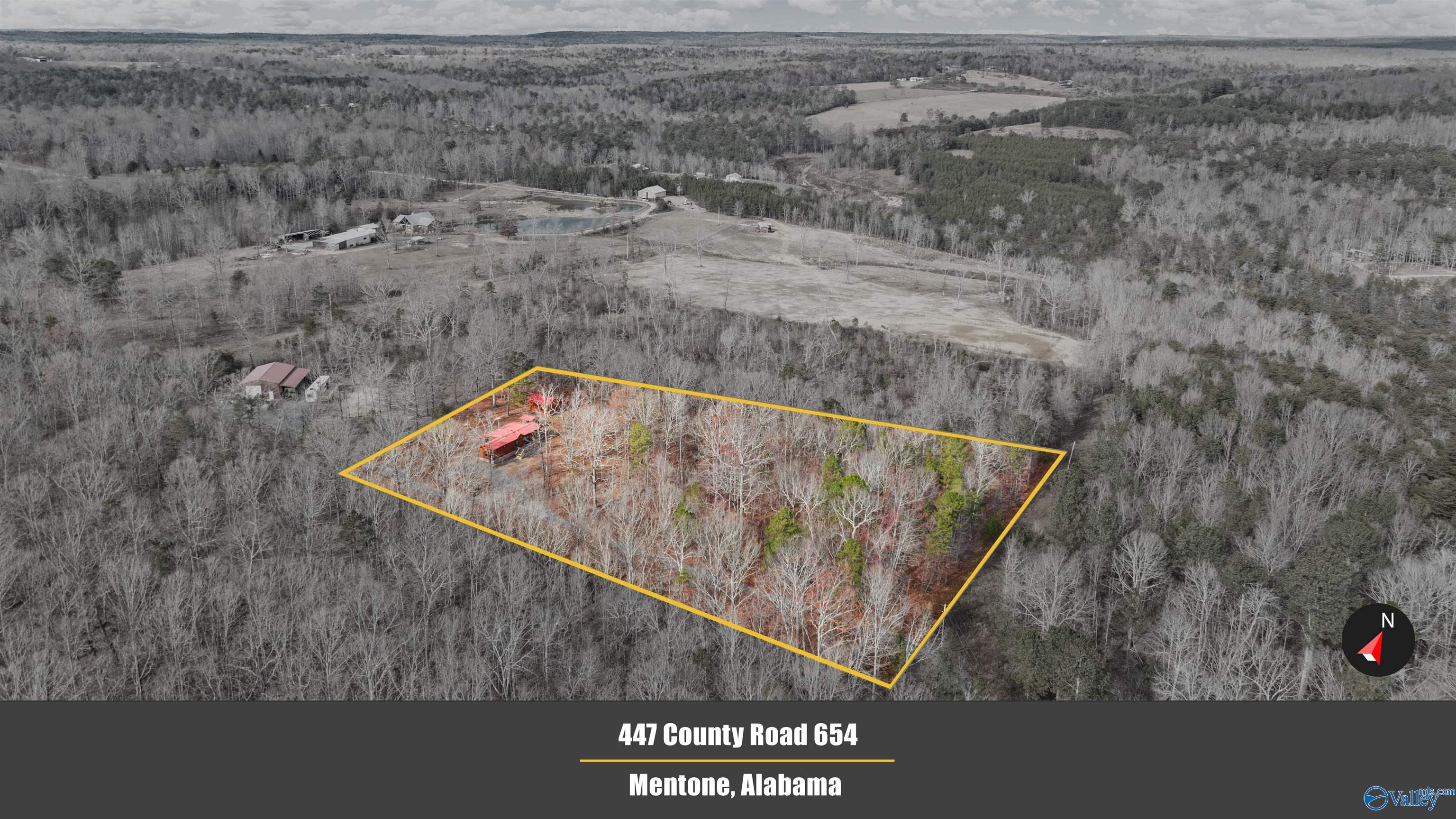 447 County Road 654