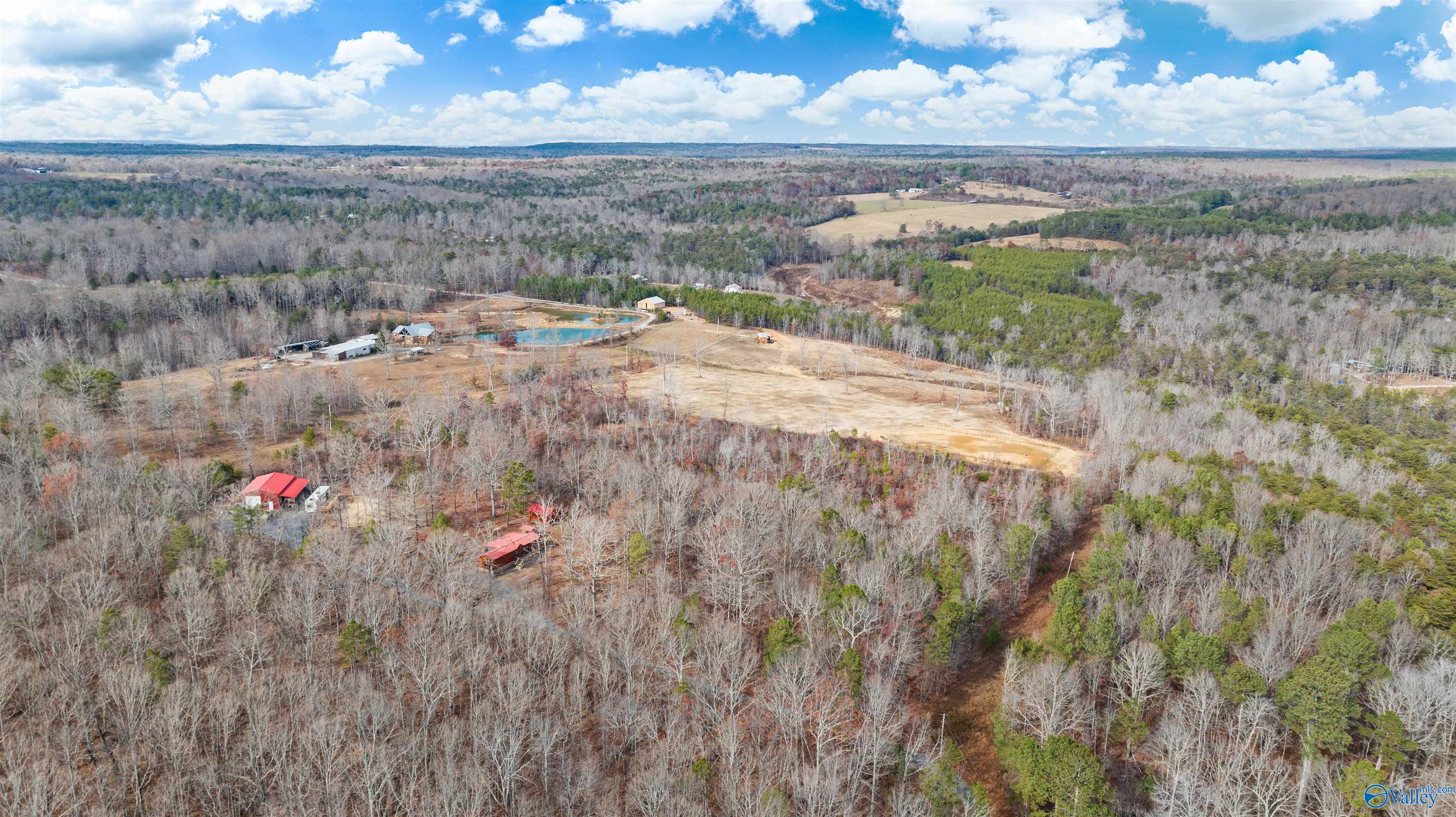 447 County Road 654