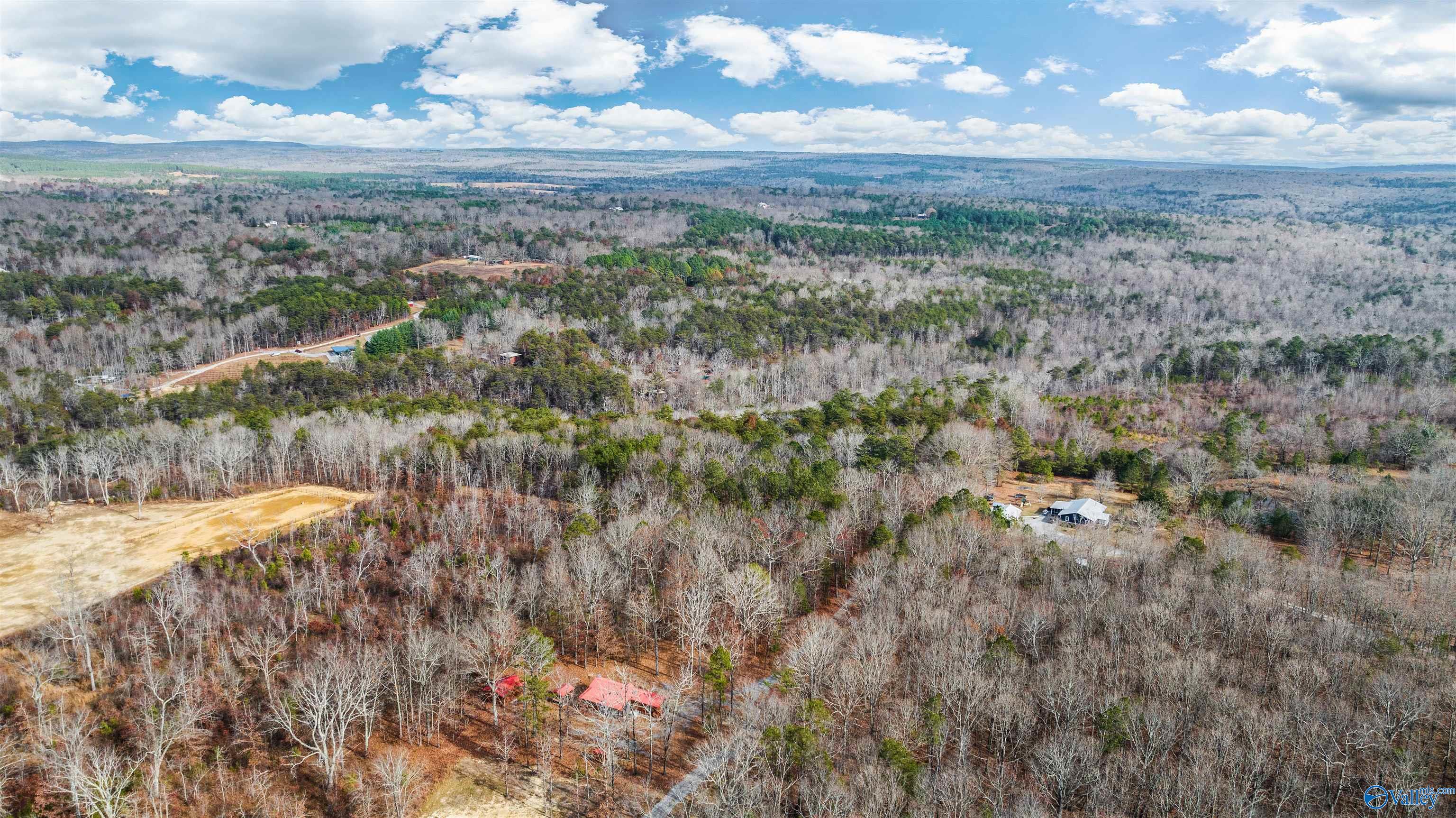 447 County Road 654