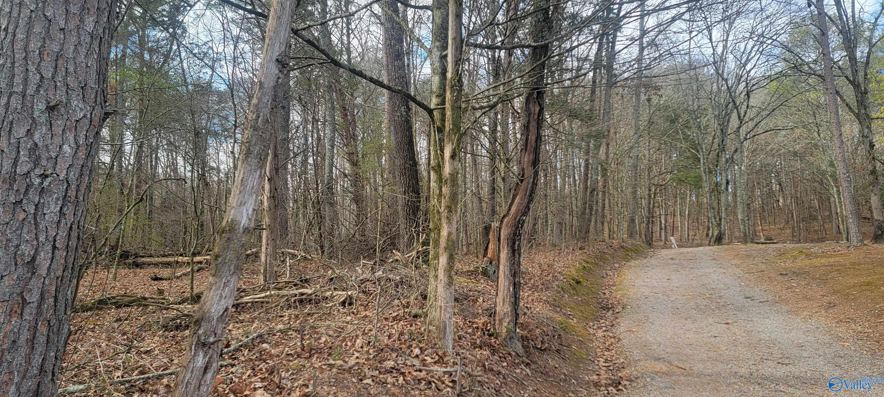 311 County Road 276
