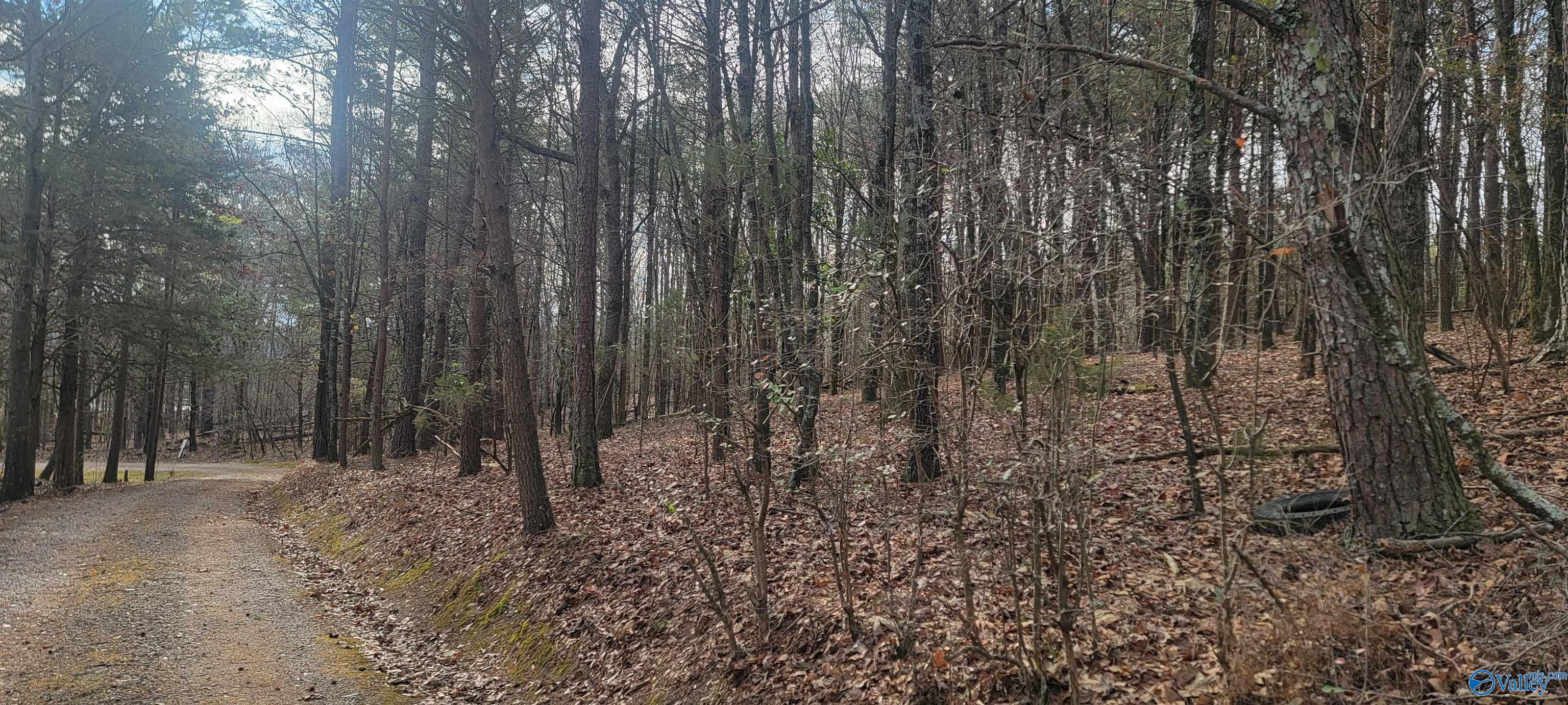 311 County Road 276