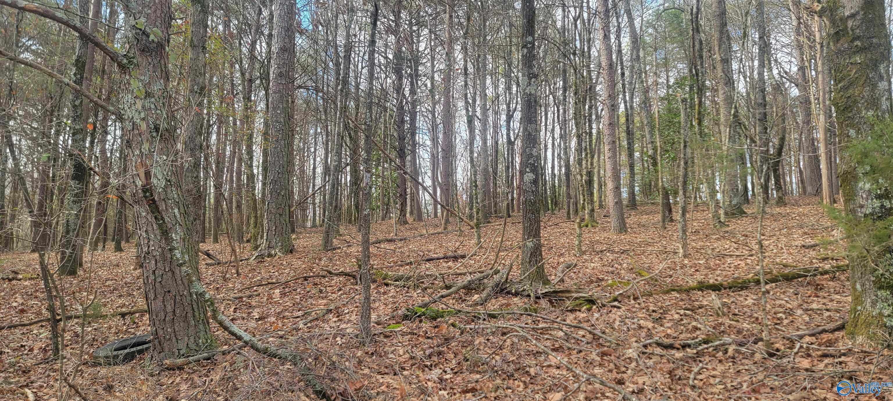 311 County Road 276