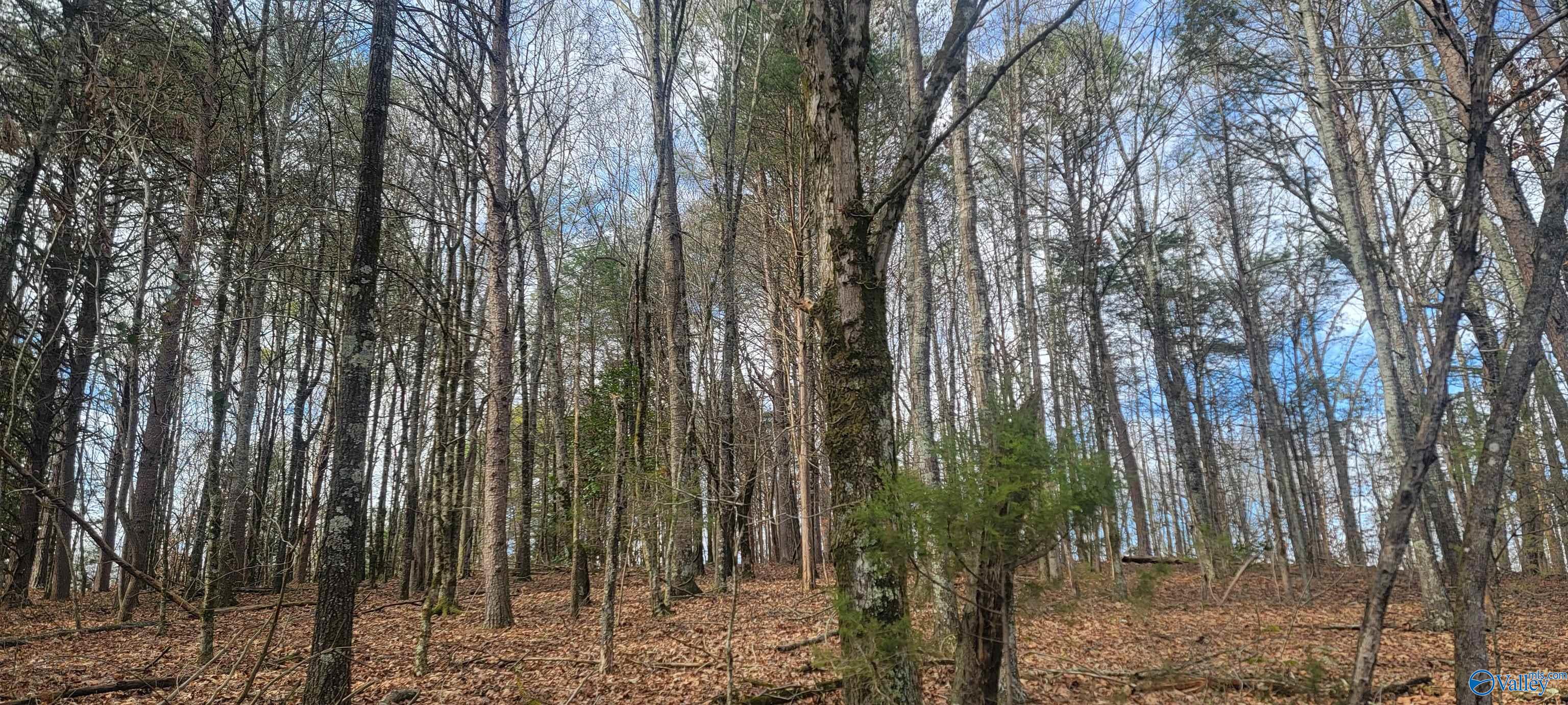 311 County Road 276