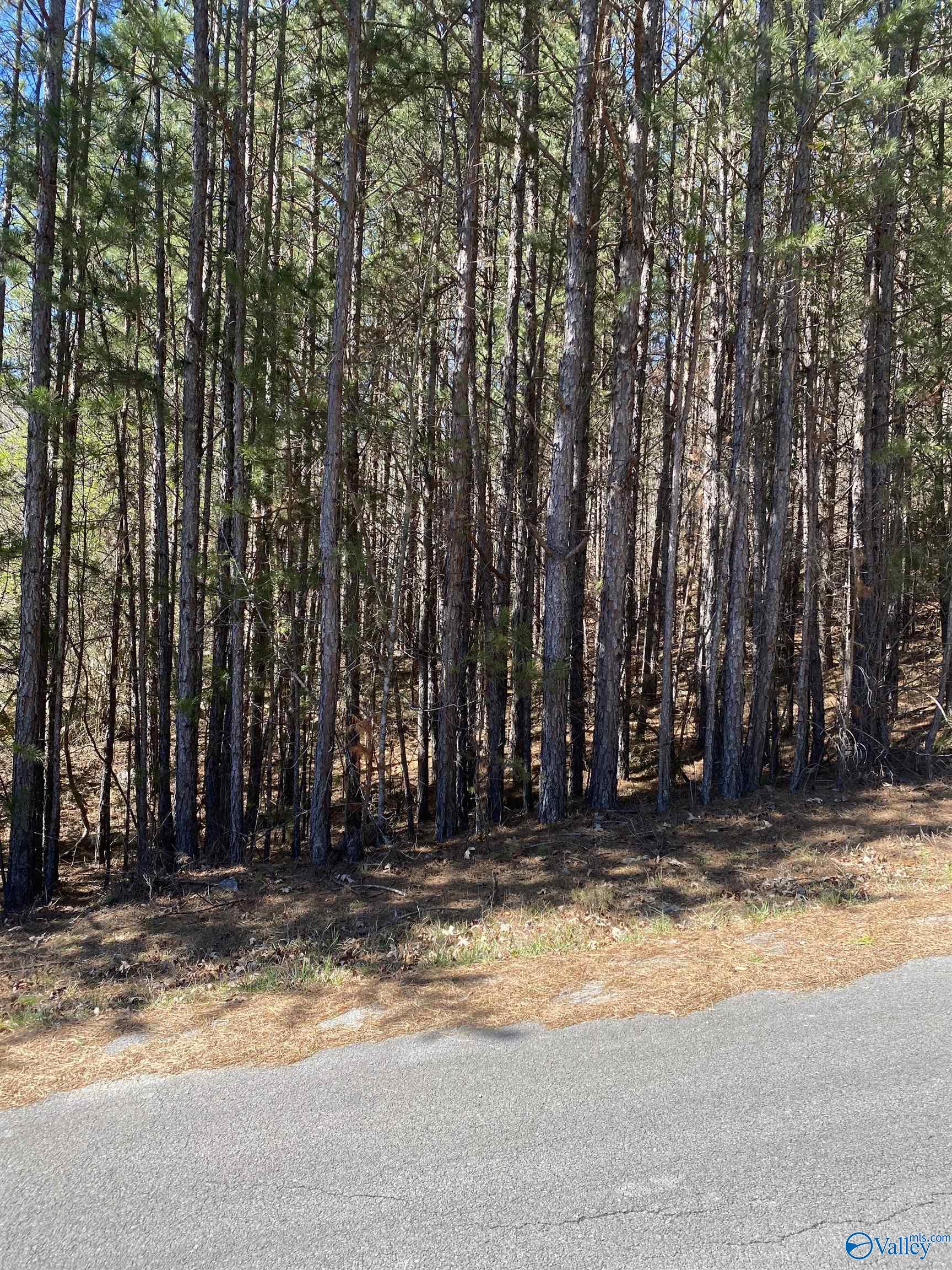 Lot 4 Blk 2 Alyson Avenue