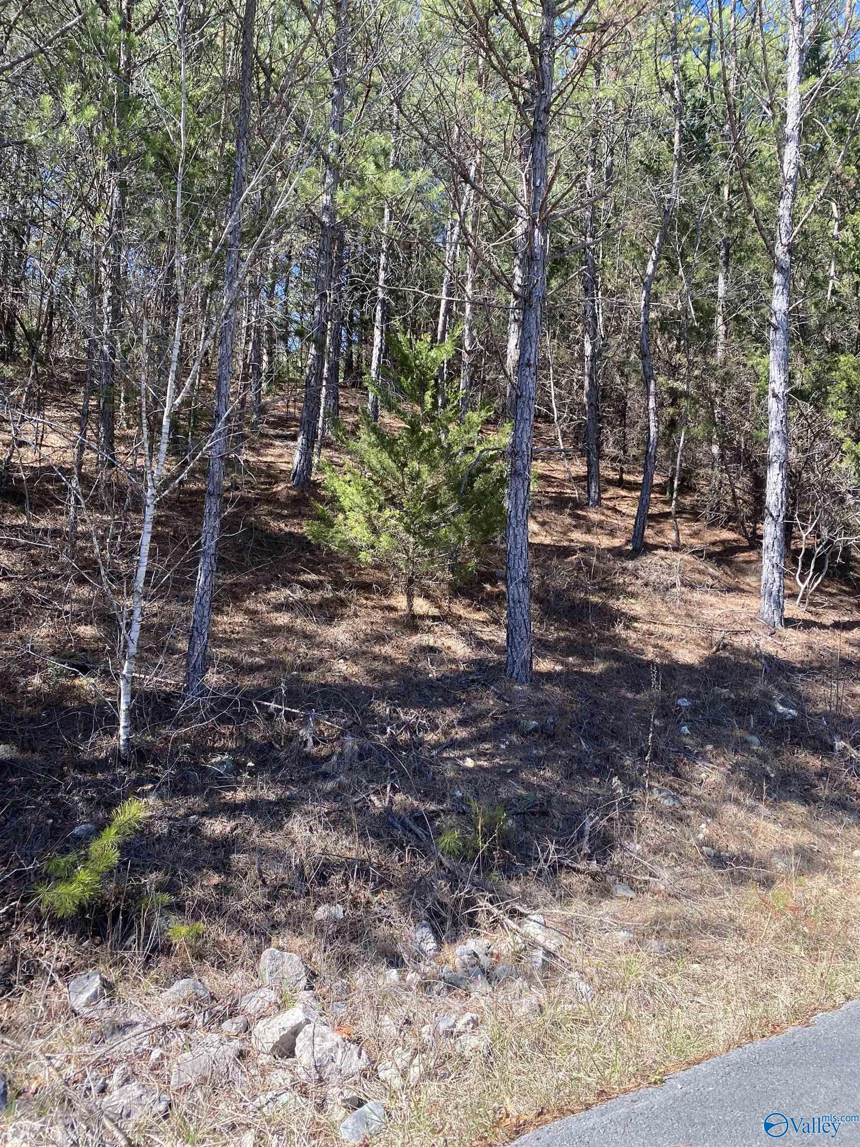 Lot 3 Blk 2 Alyson Avenue