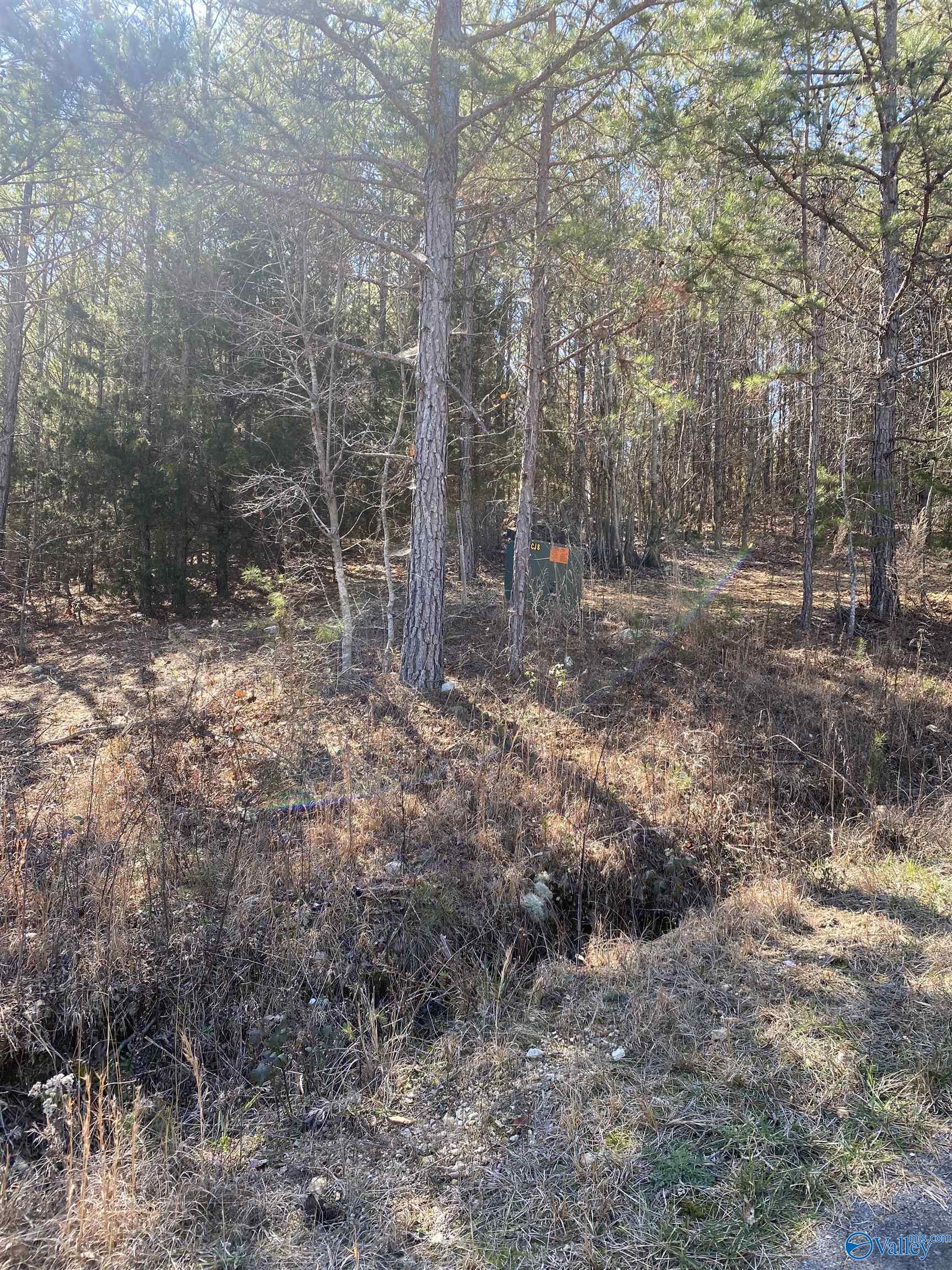 Lot 1 Blk 2 Alyson Avenue
