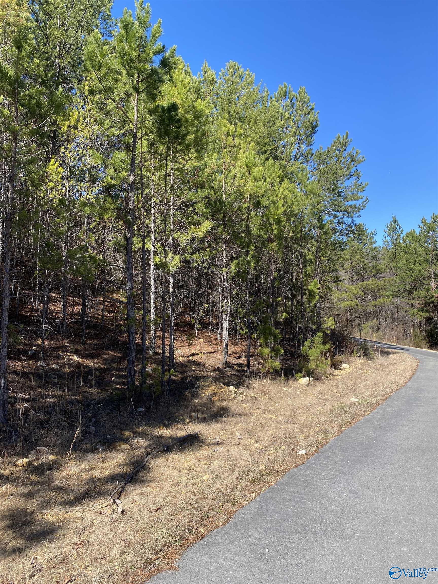 Lot 1 Blk 2 Alyson Avenue