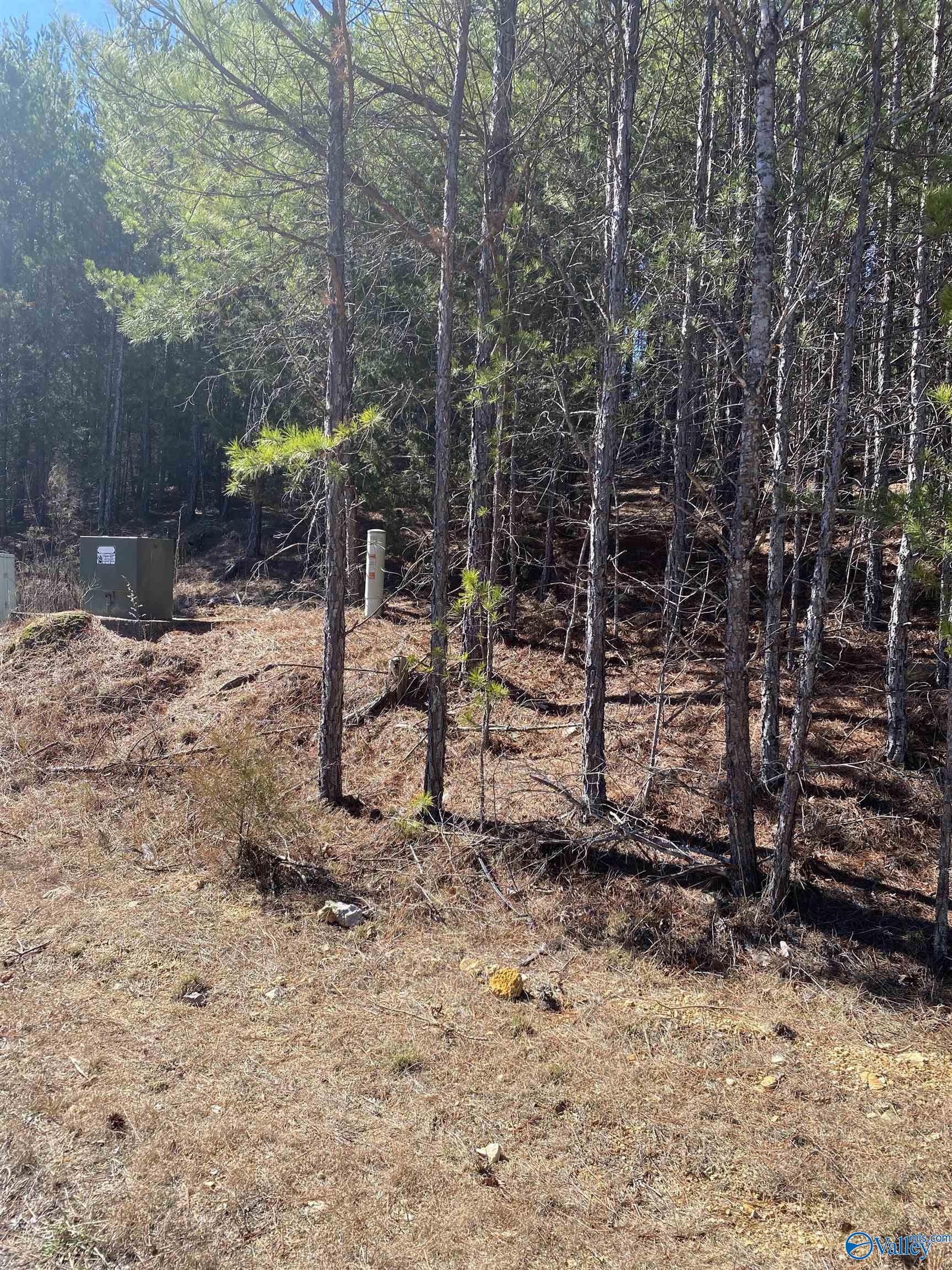 Lot 1 Blk 2 Alyson Avenue