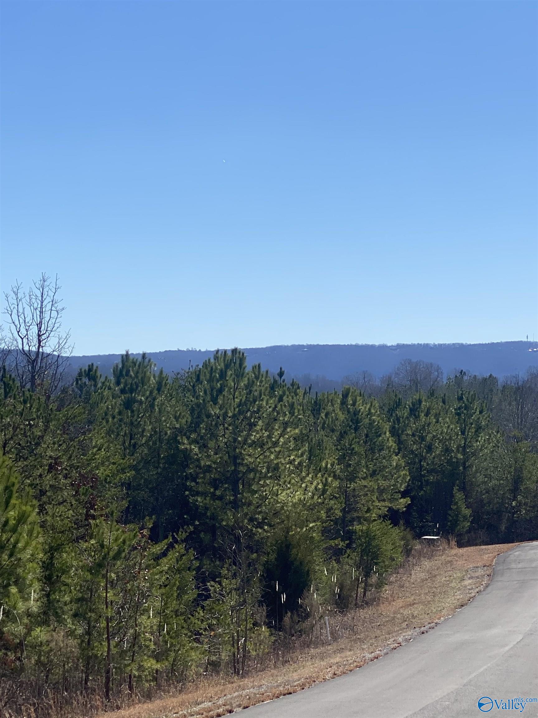 Lot 4 1st Add Alyson Avenue
