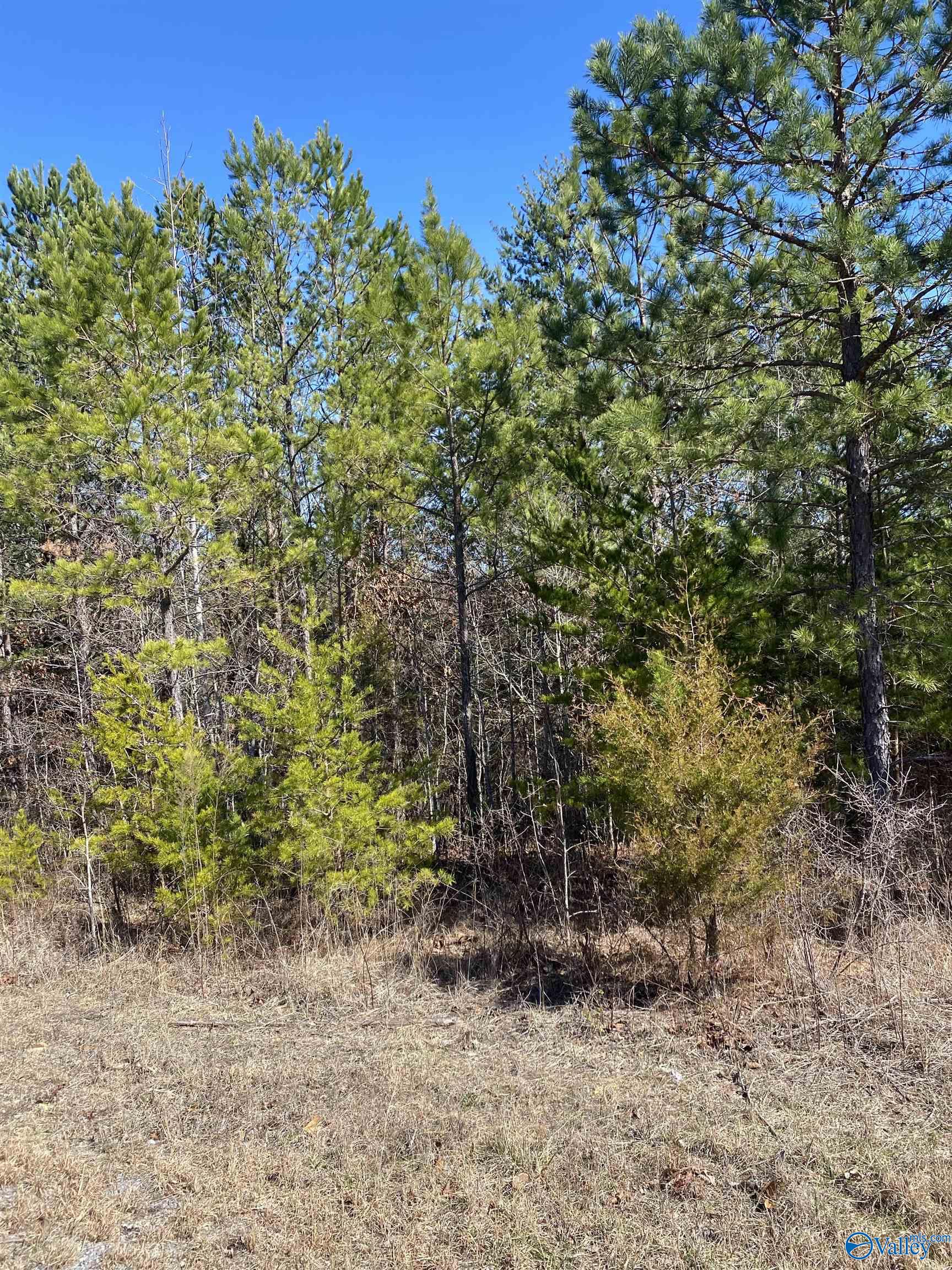 Lot 4 1st Add Alyson Avenue