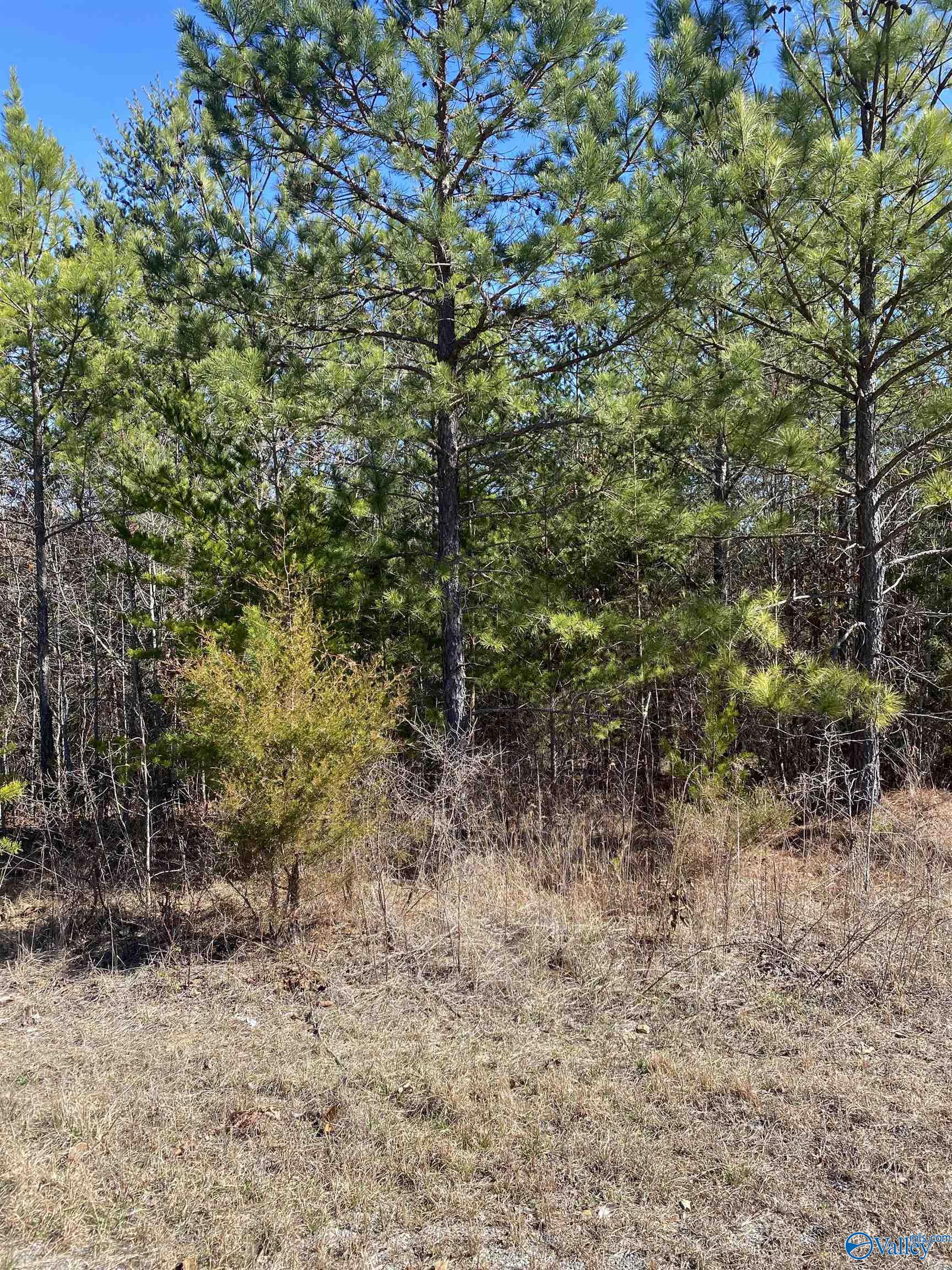Lot 4 1st Add Alyson Avenue