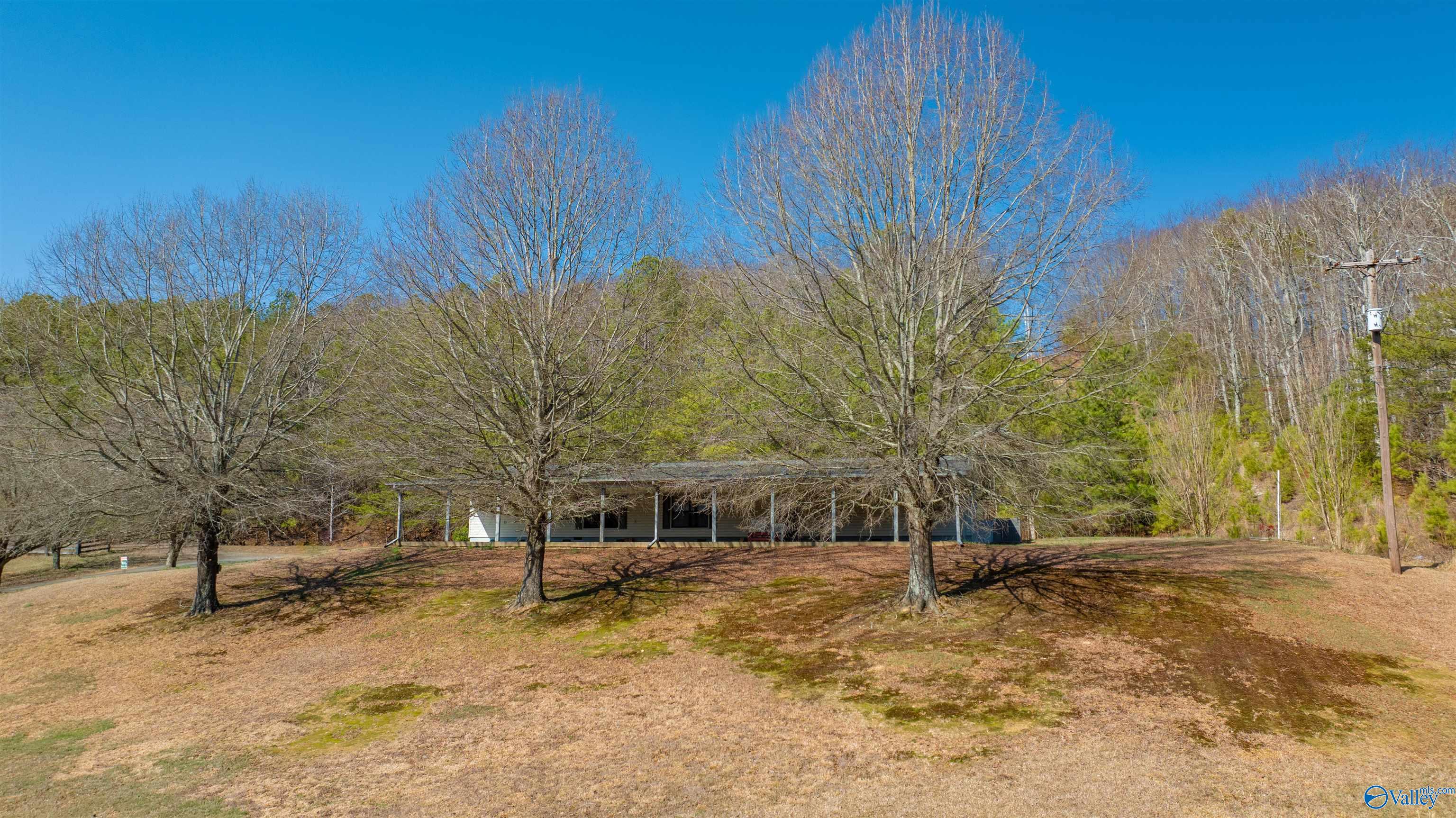 7855 Alabama Highway 137