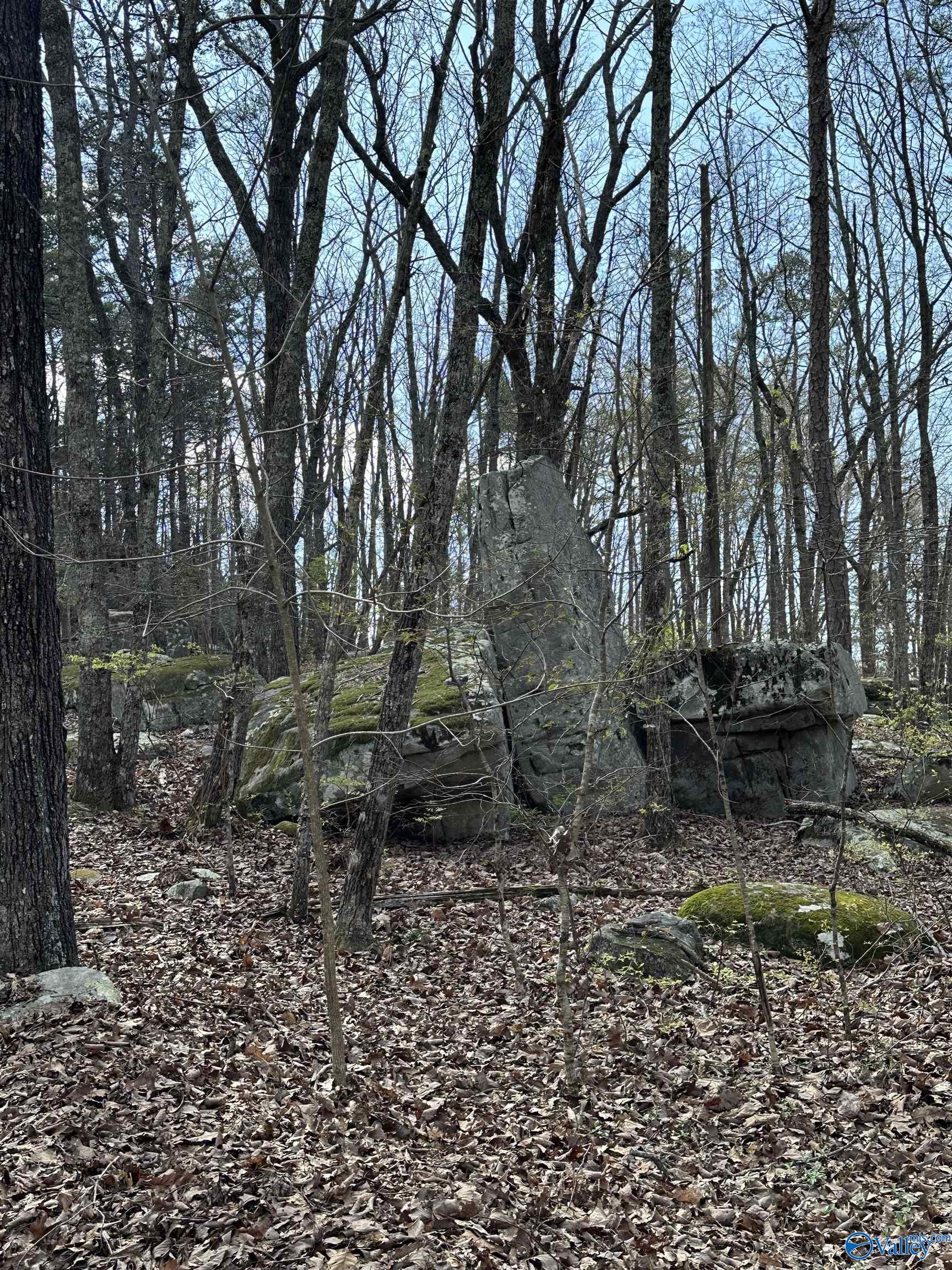 57 County Road 934