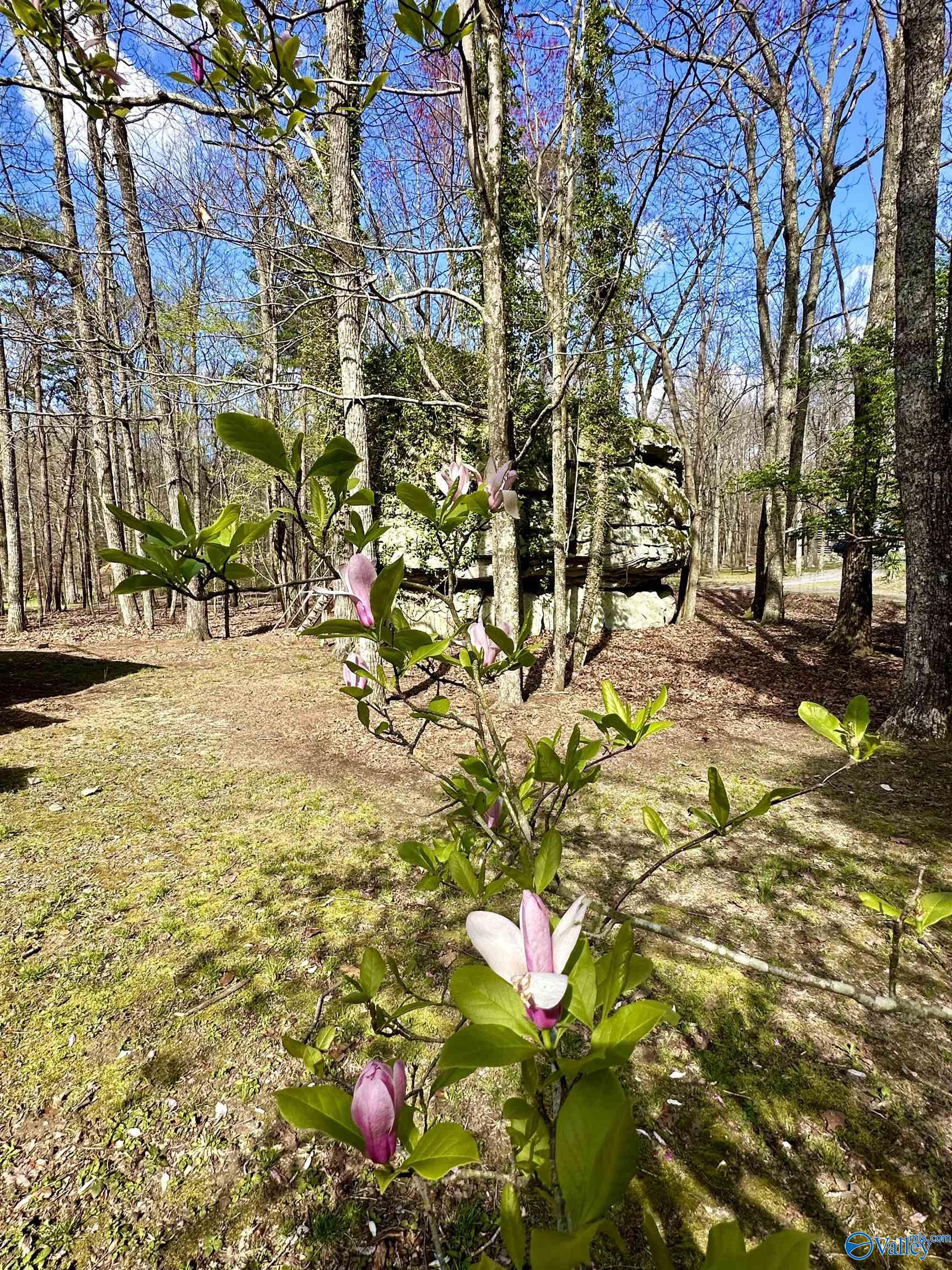 57 County Road 934