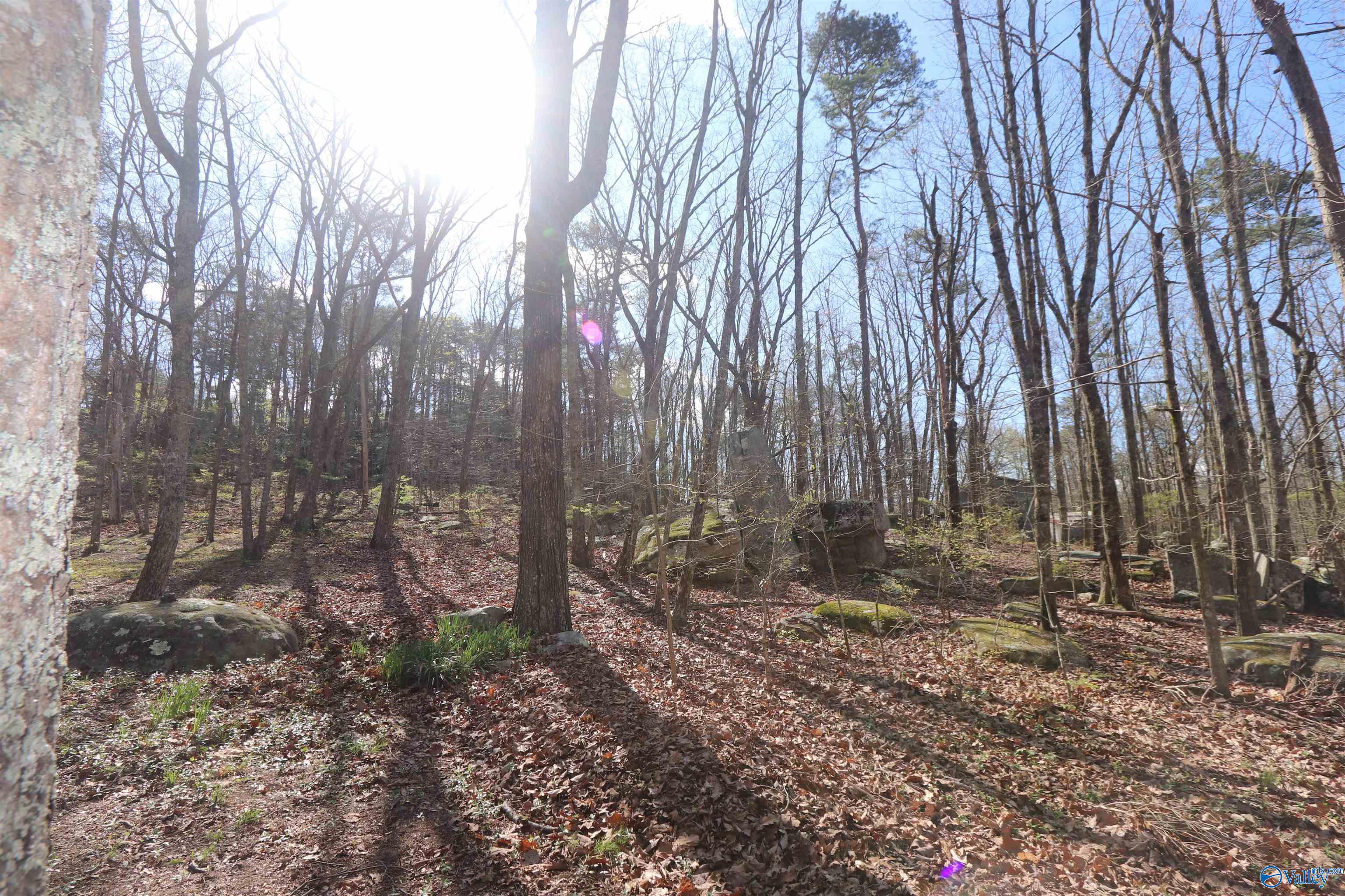 57 County Road 934