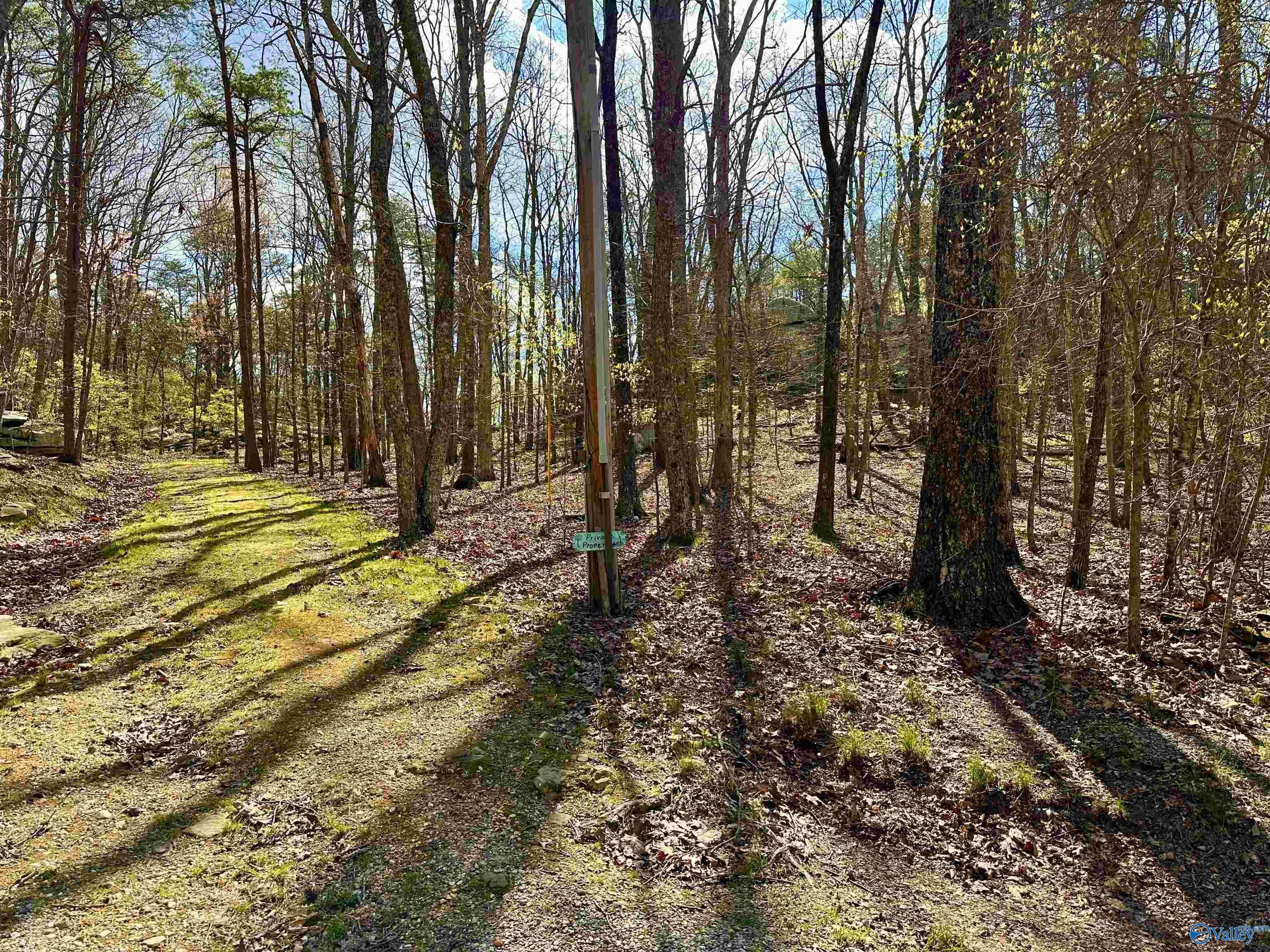 57 County Road 934