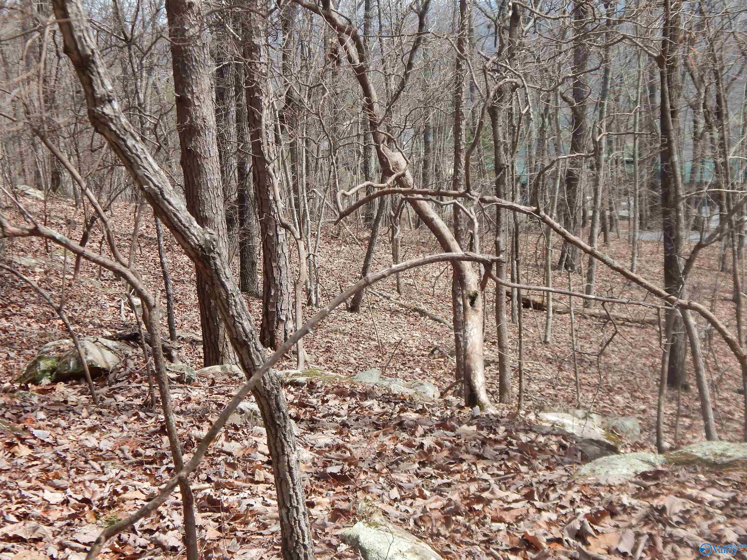 Lot 9 County Road 844