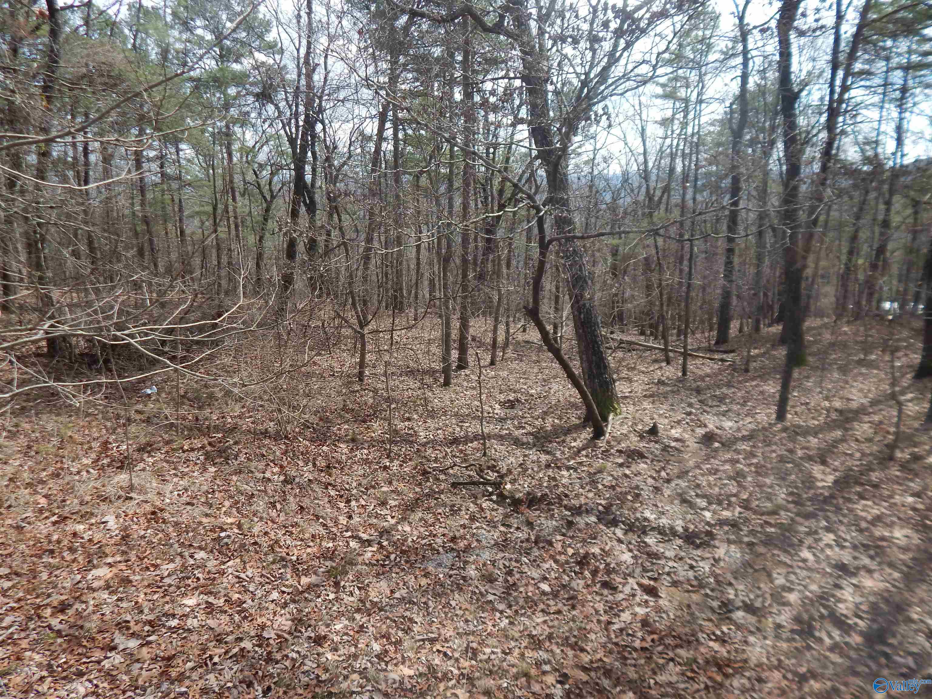 Lot 9 County Road 844