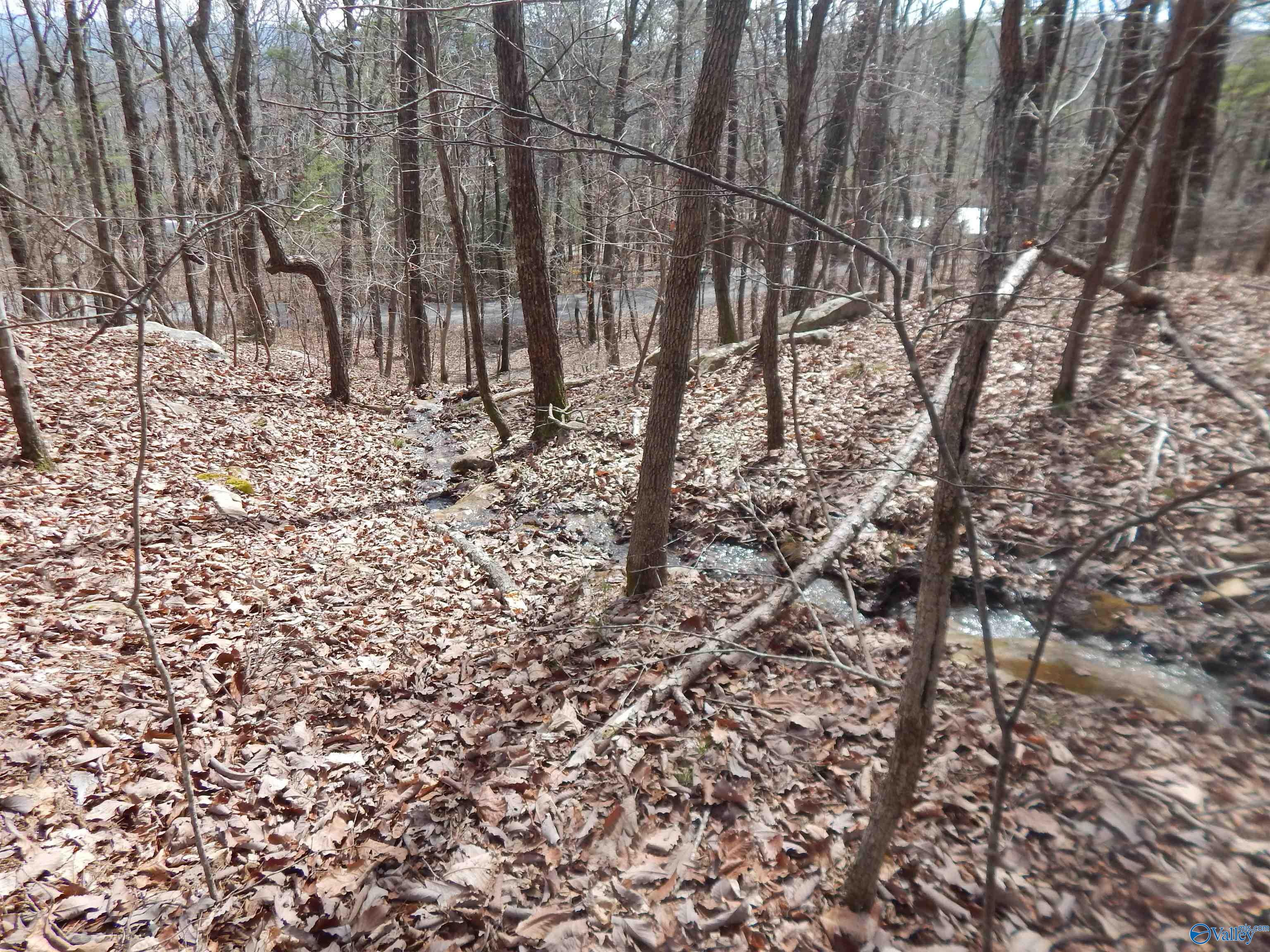 Lot 9 County Road 844