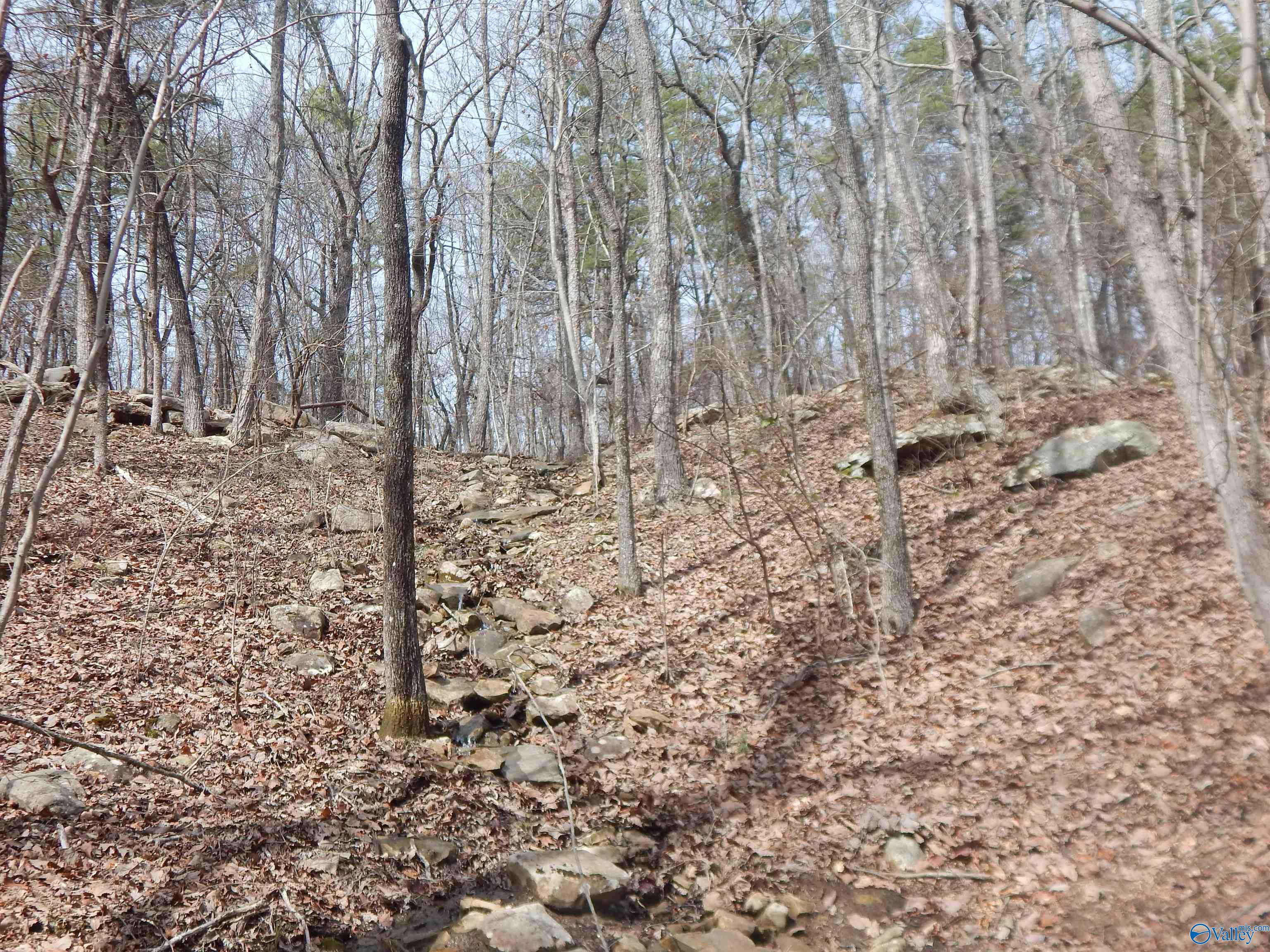 Lot 9 County Road 844