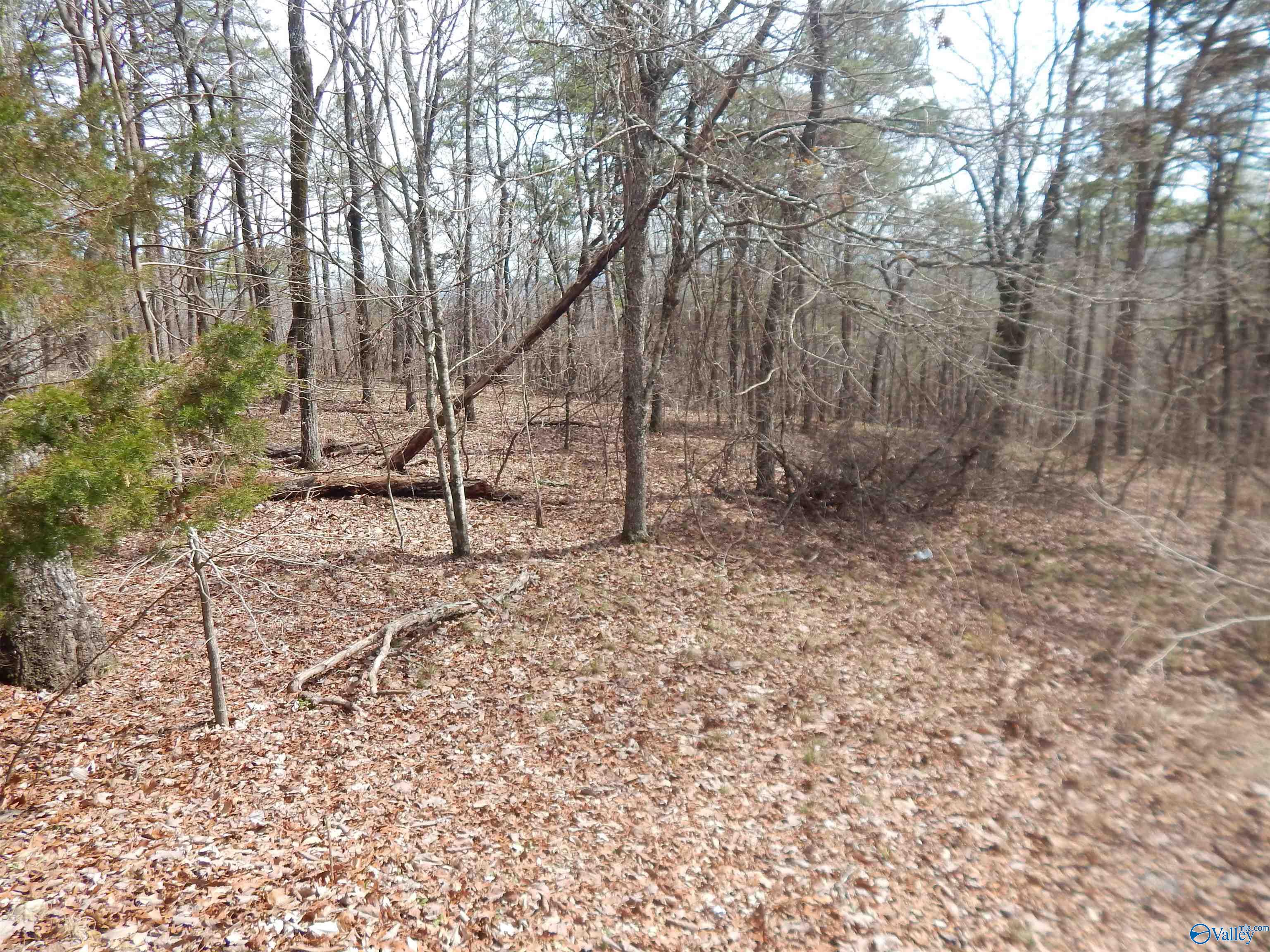 Lot 9 County Road 844