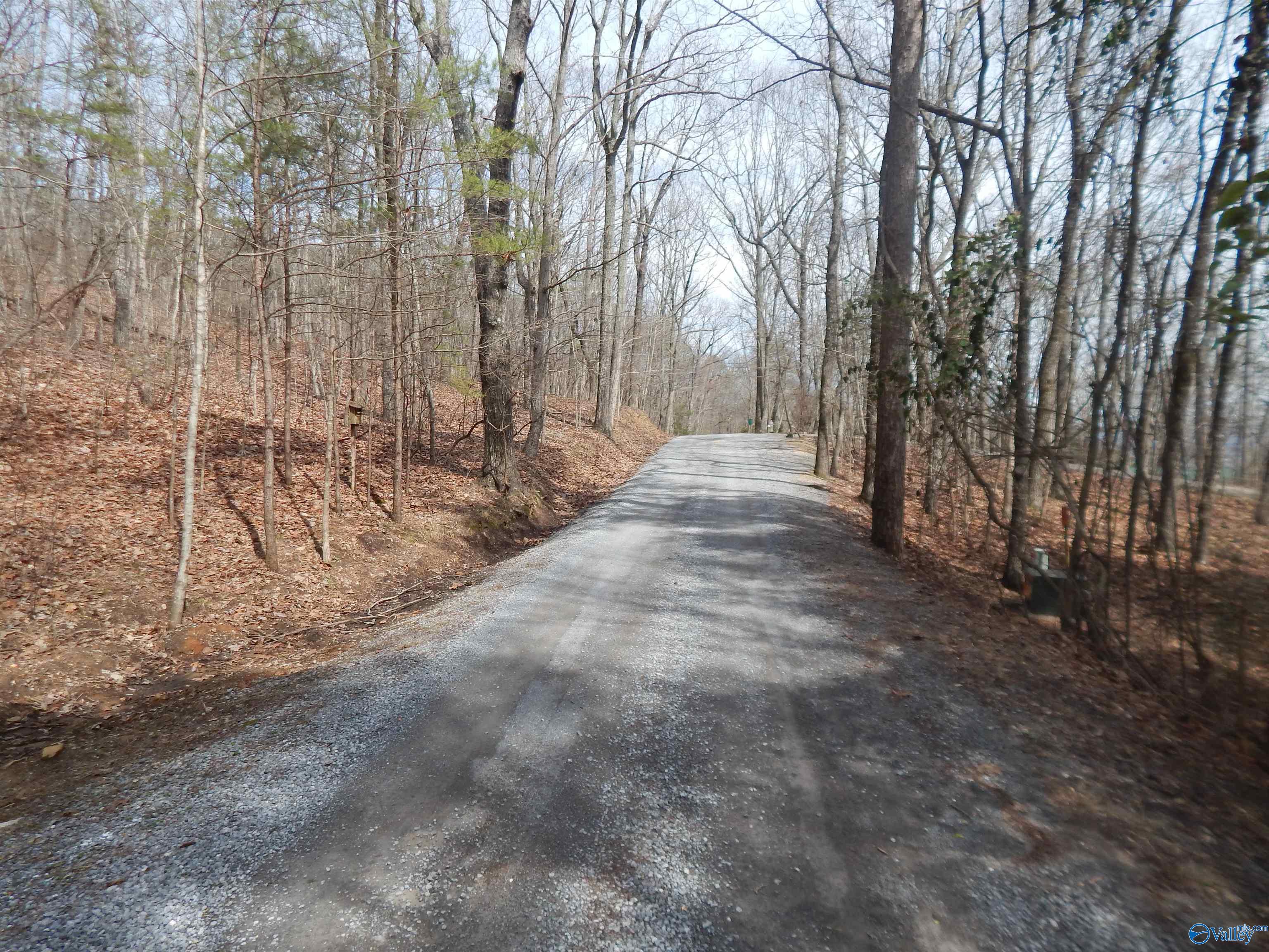 Lot 9 County Road 844