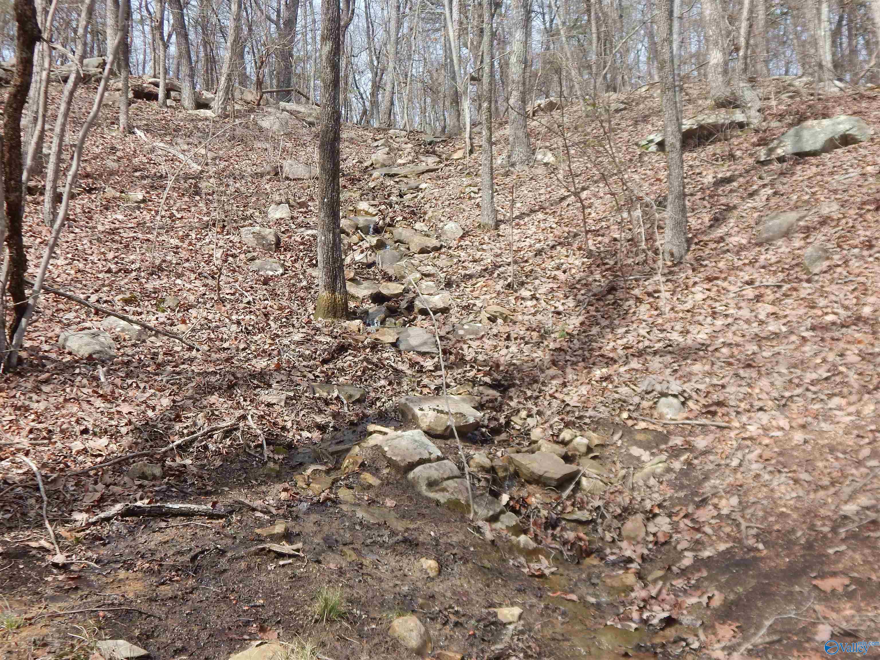 Lot 9 County Road 844