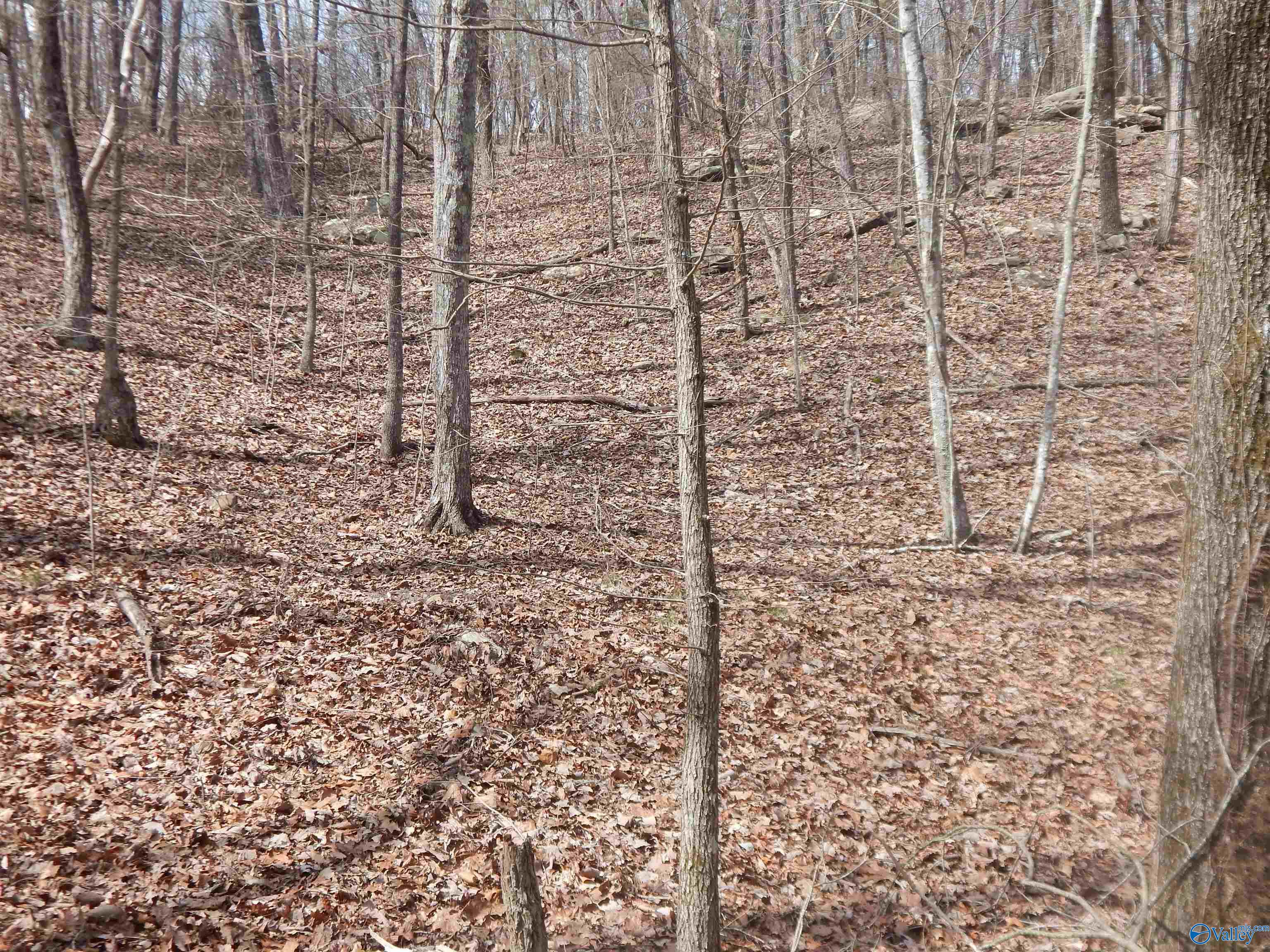 Lot 9 County Road 844