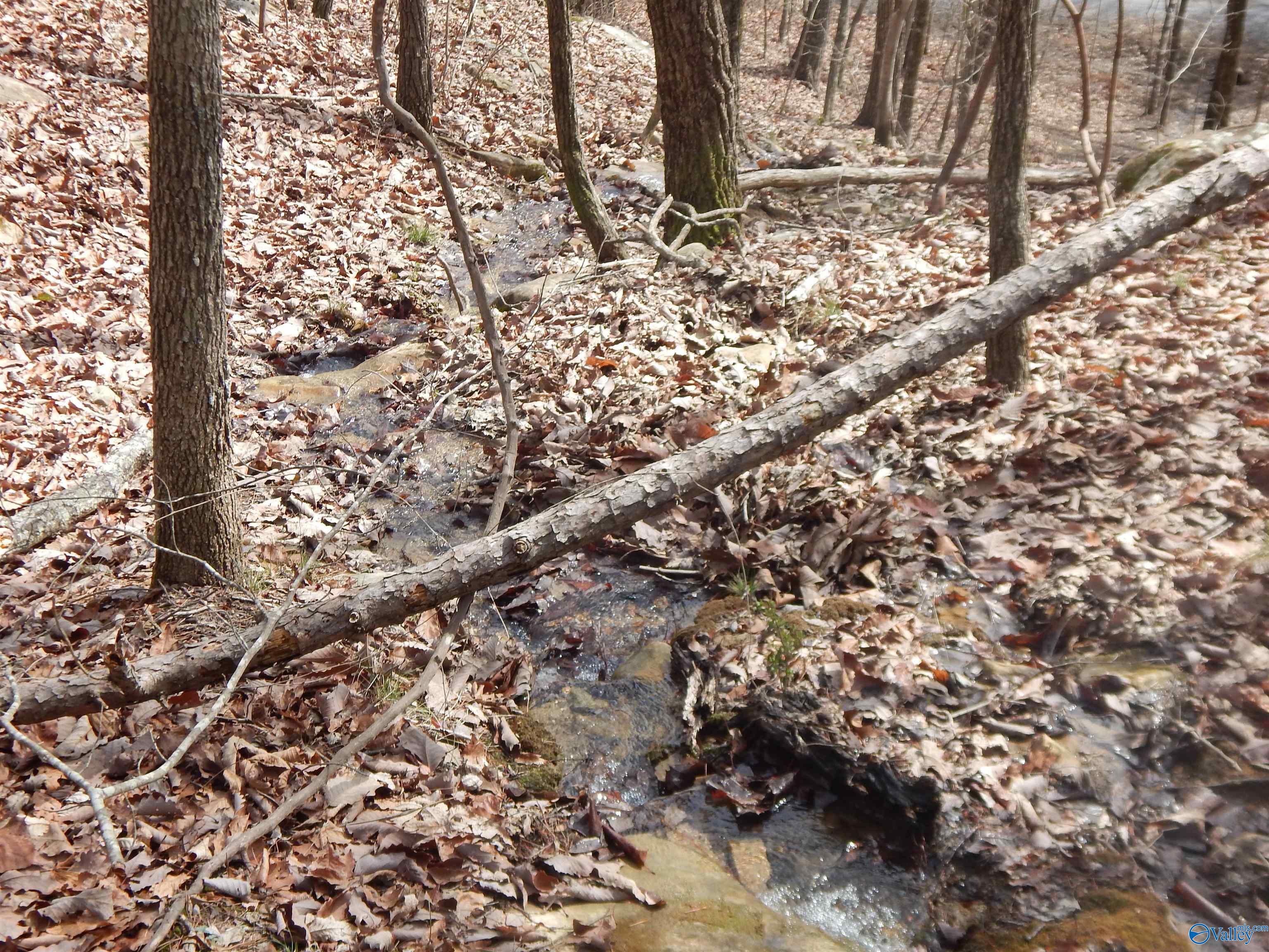 Lot 9 County Road 844