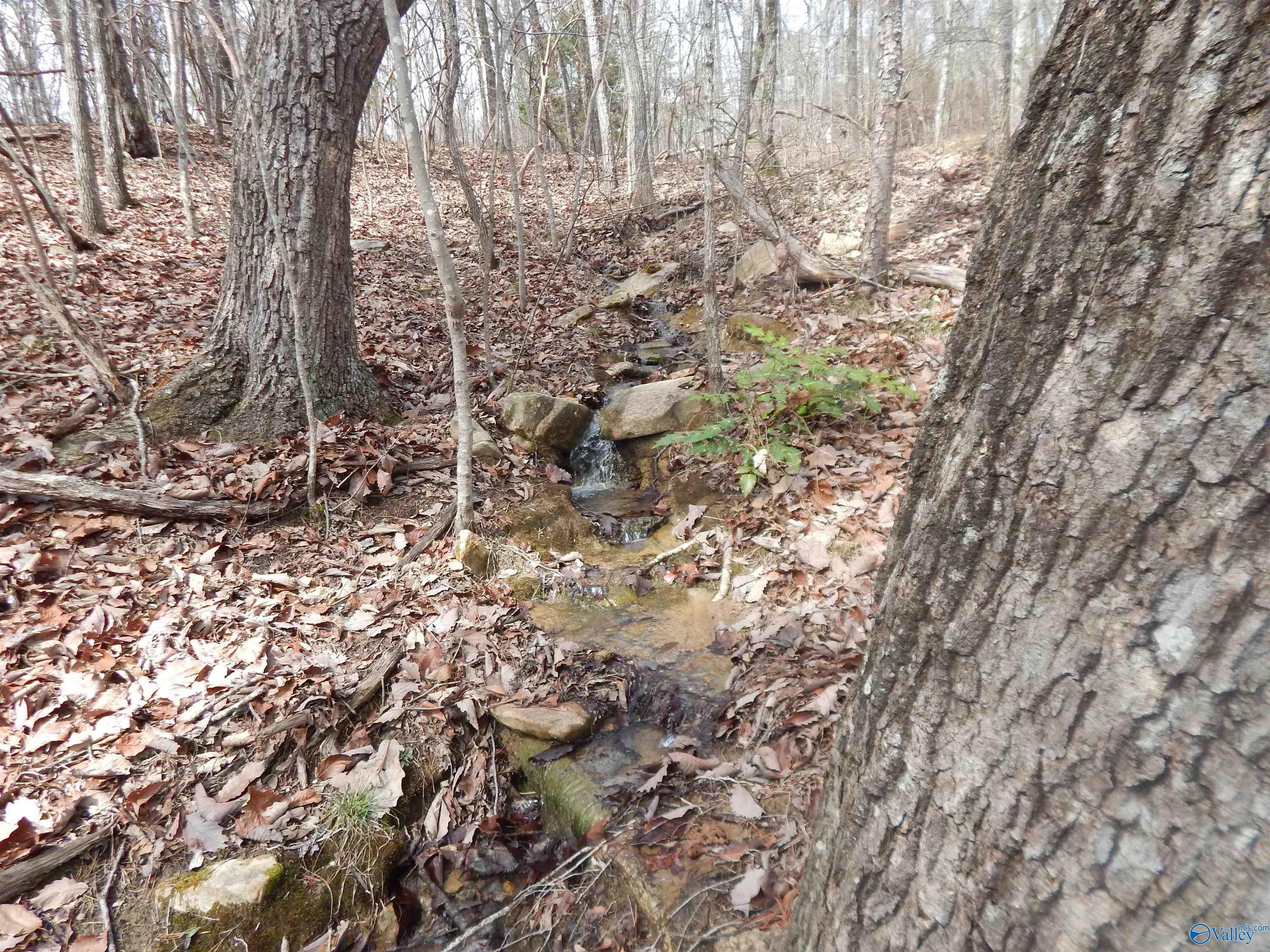 Lot 9 County Road 844