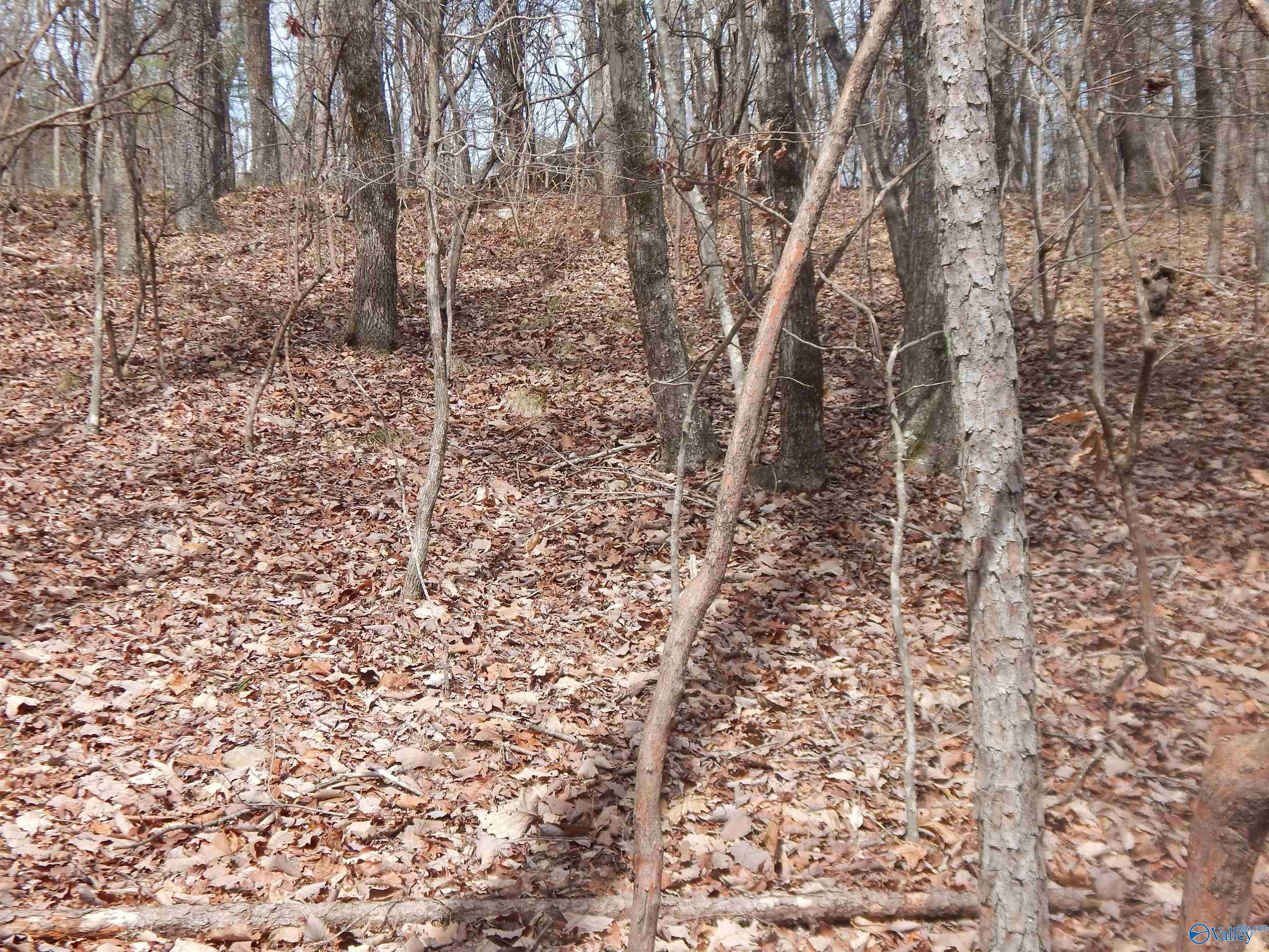 Lot 9 County Road 844
