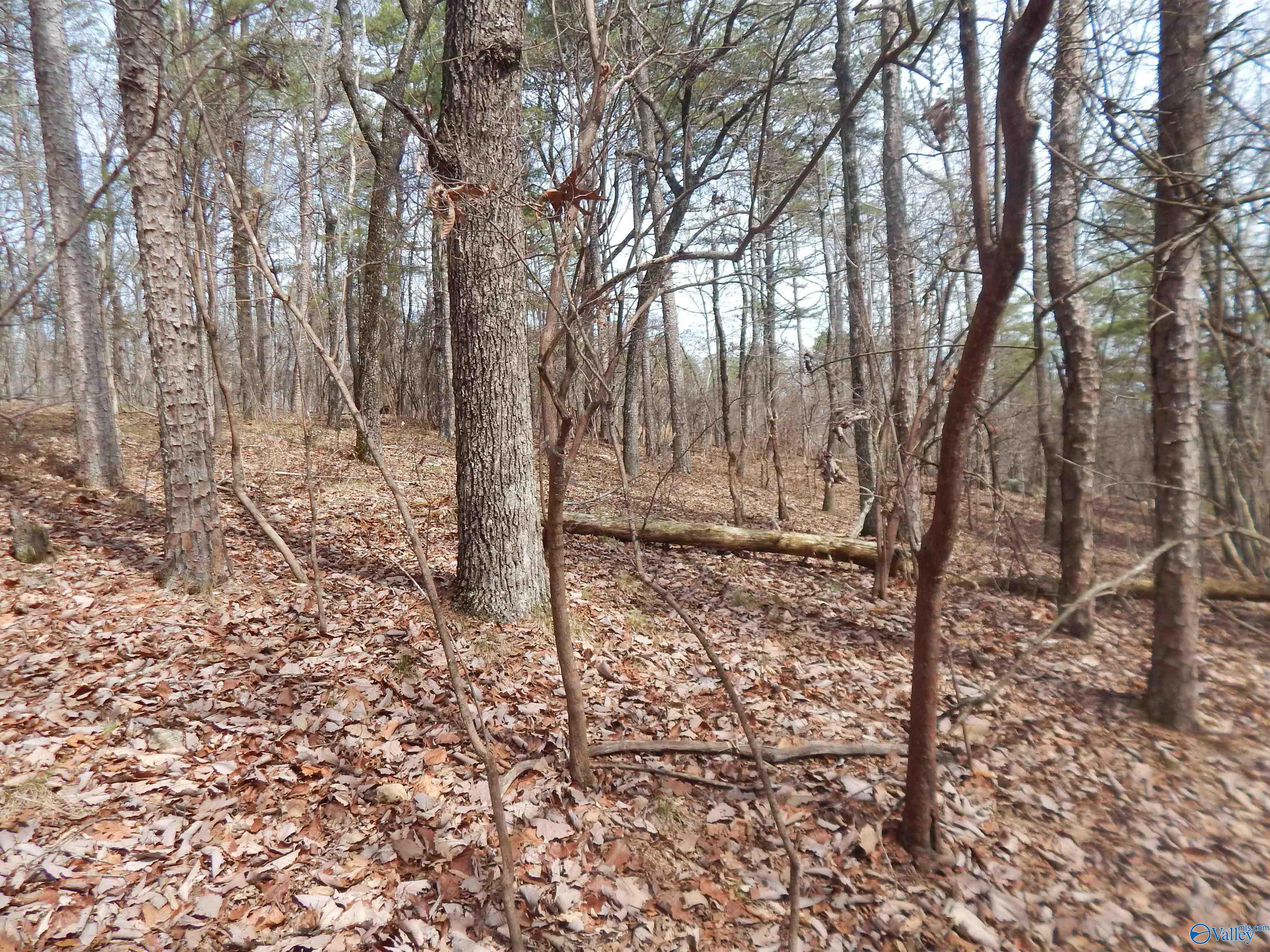 Lot 9 County Road 844