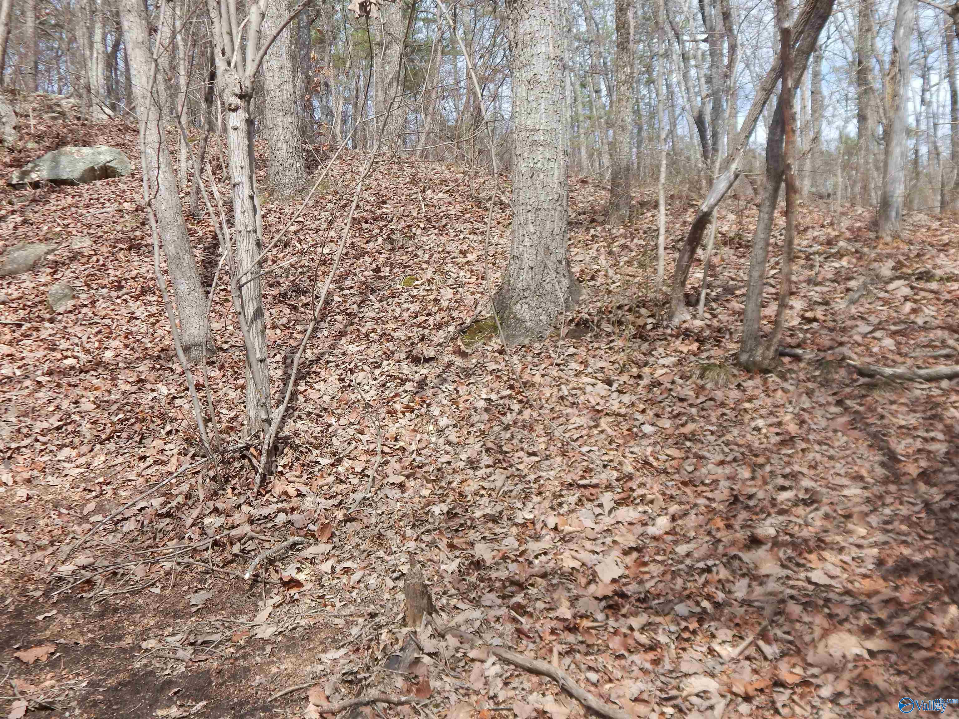 Lot 9 County Road 844