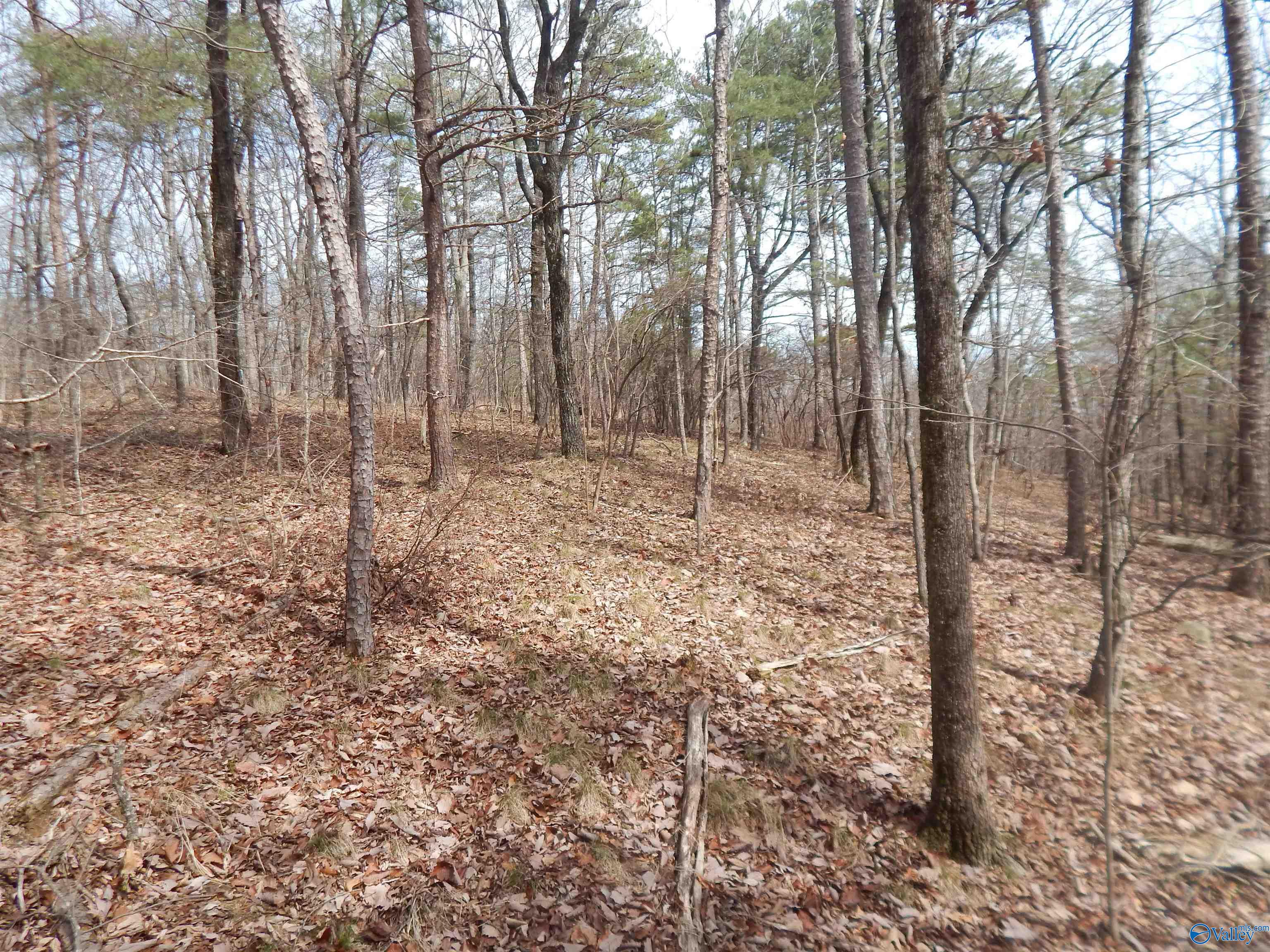 Lot 9 County Road 844