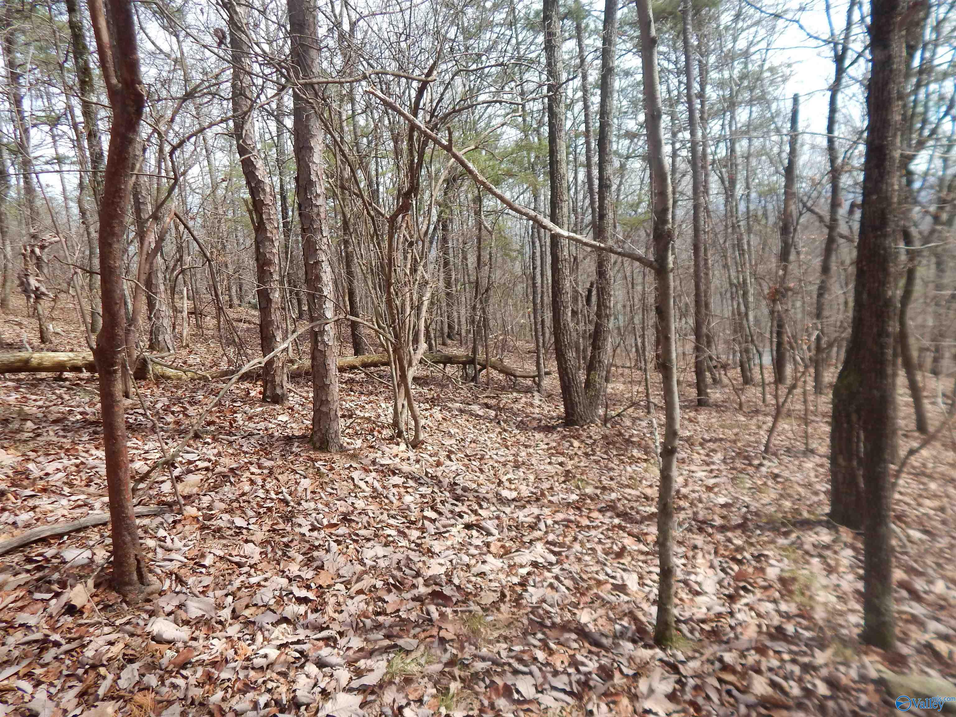 Lot 9 County Road 844