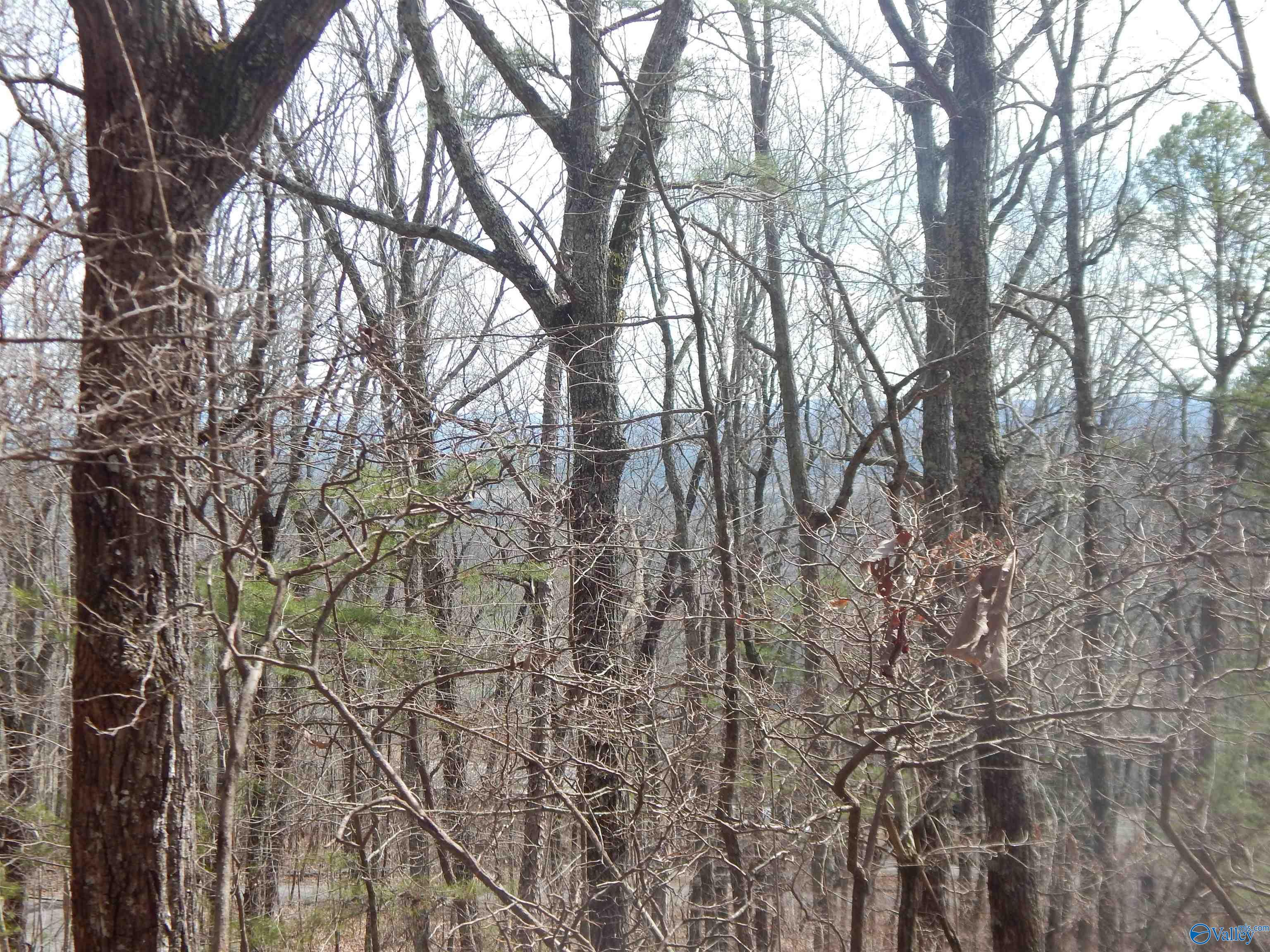 Lot 9 County Road 844