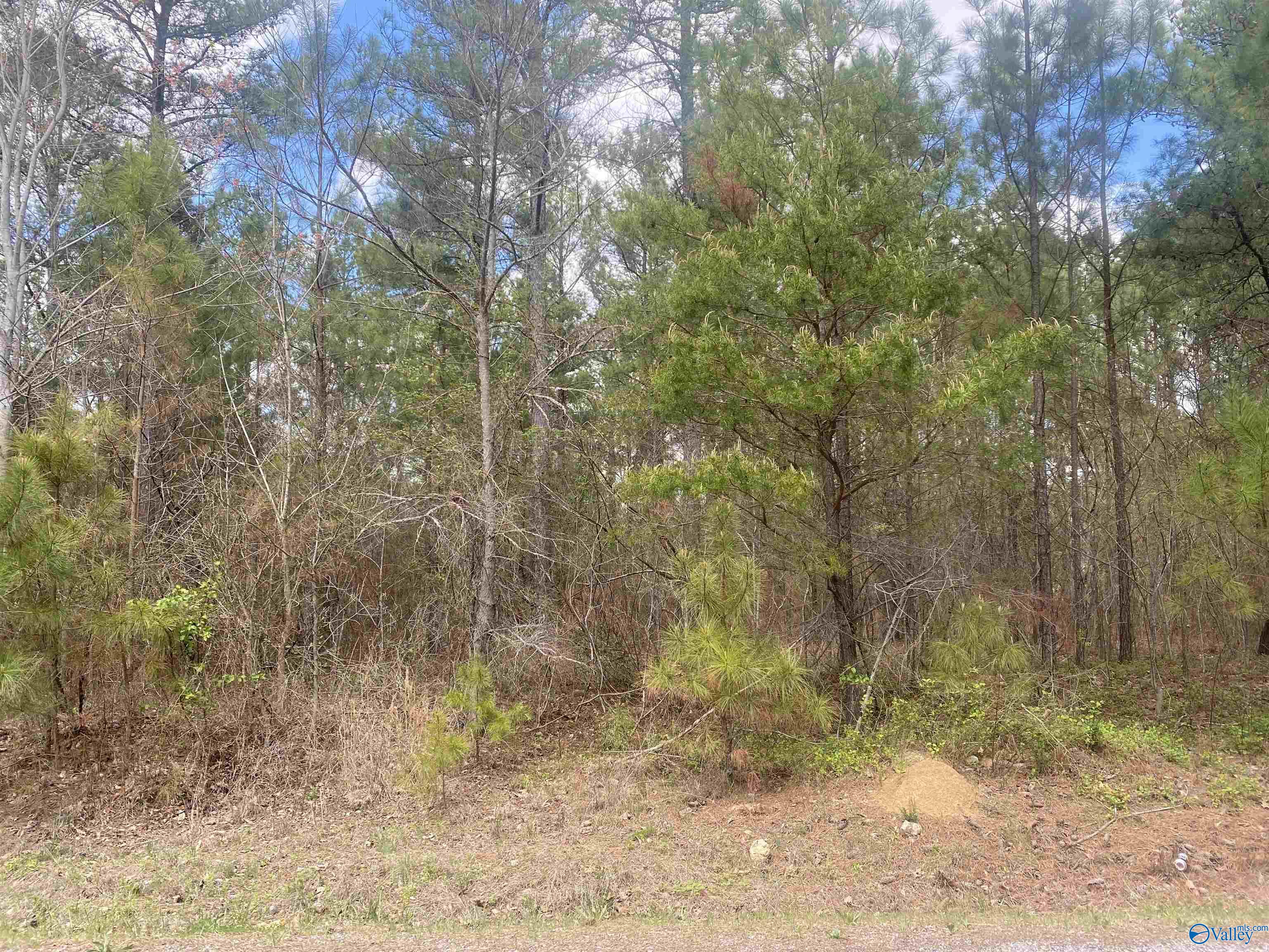 3.96 acres County Road 739